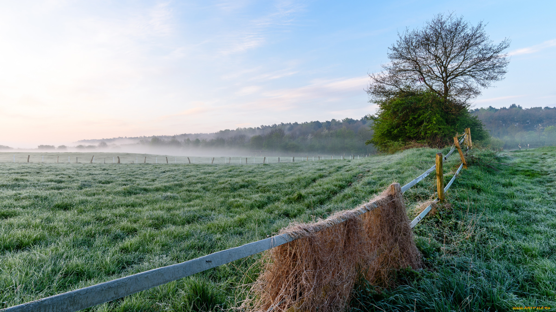 природа, поля, простор
