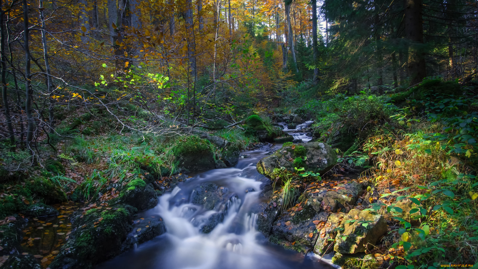 природа, реки, озера, простор