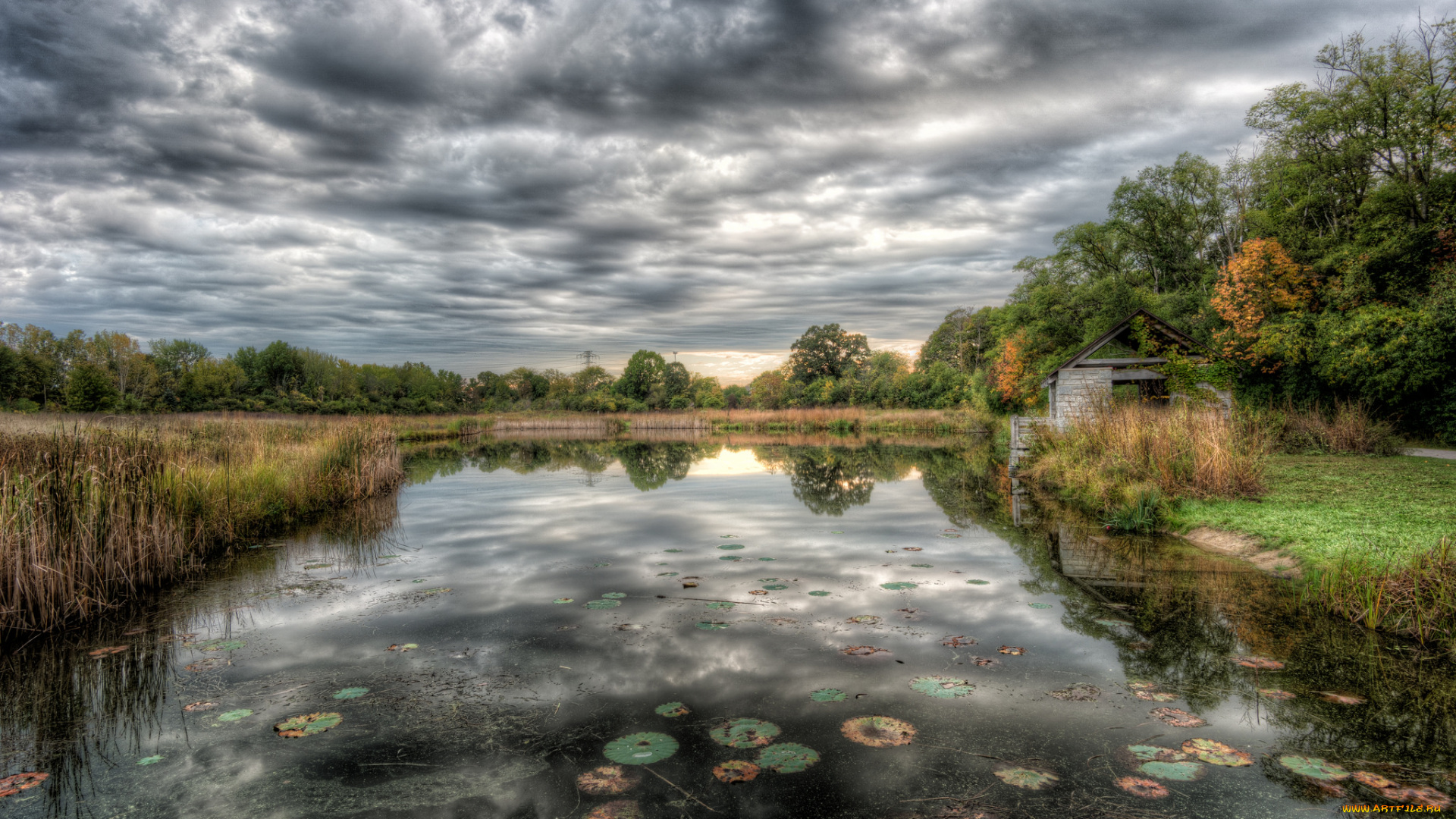 природа, реки, озера, простор