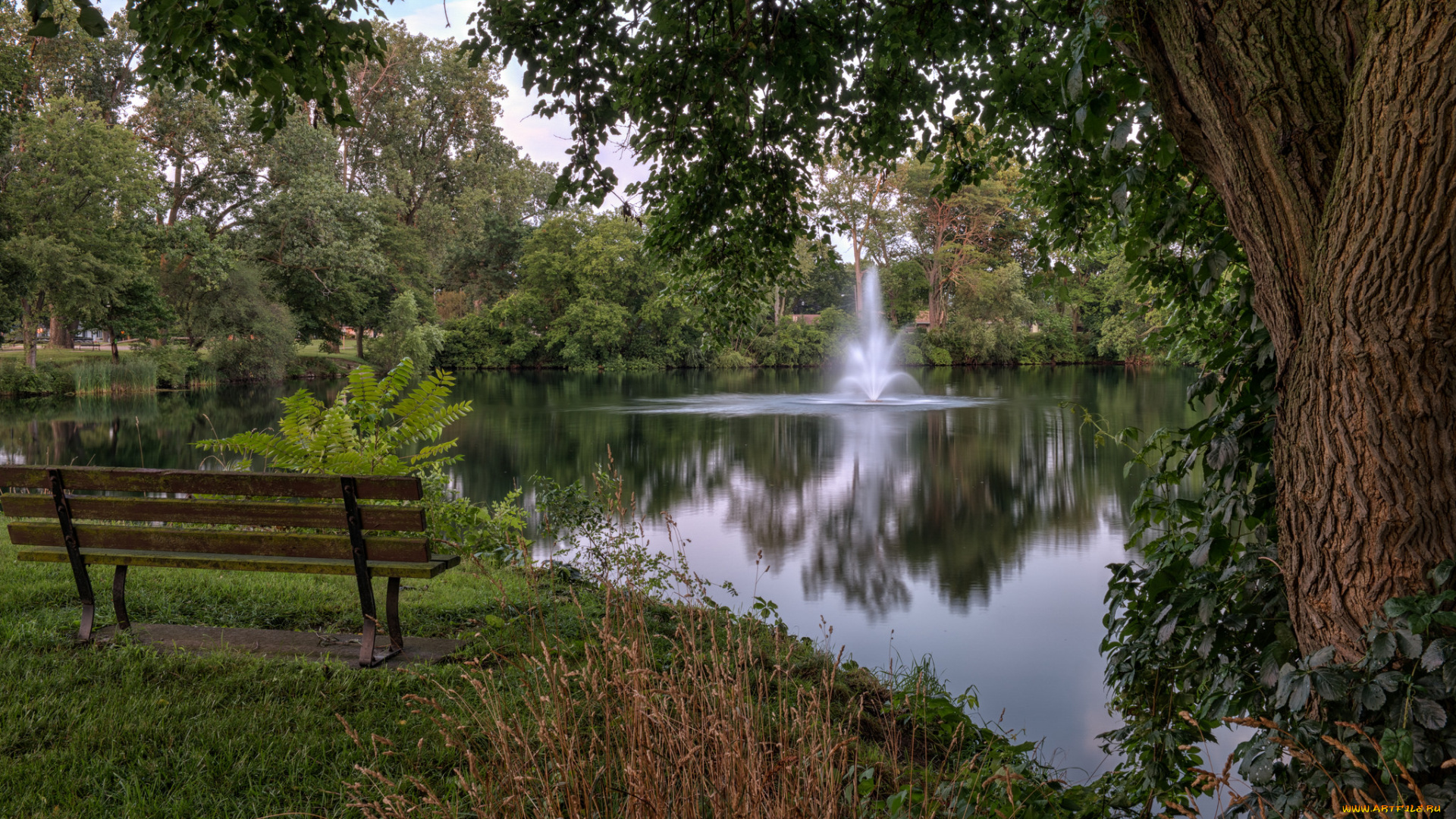 природа, реки, озера, простор