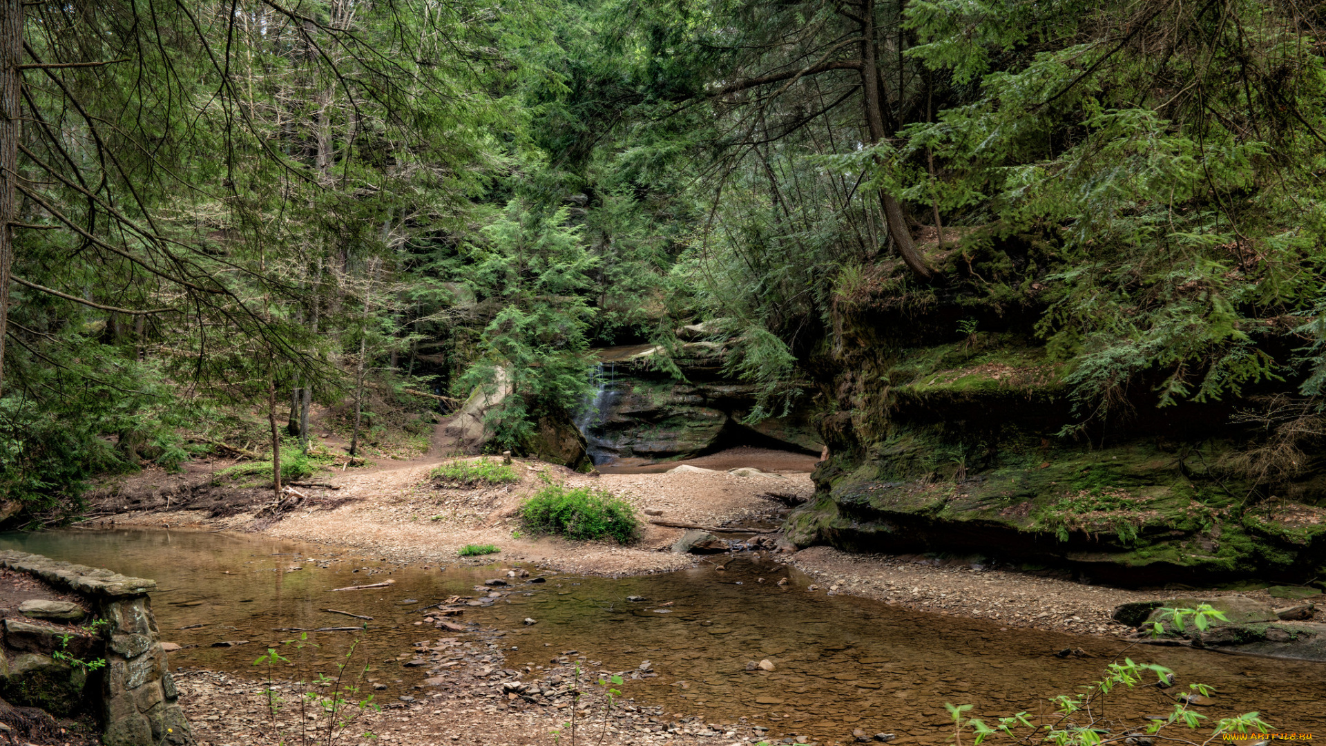 природа, реки, озера, простор