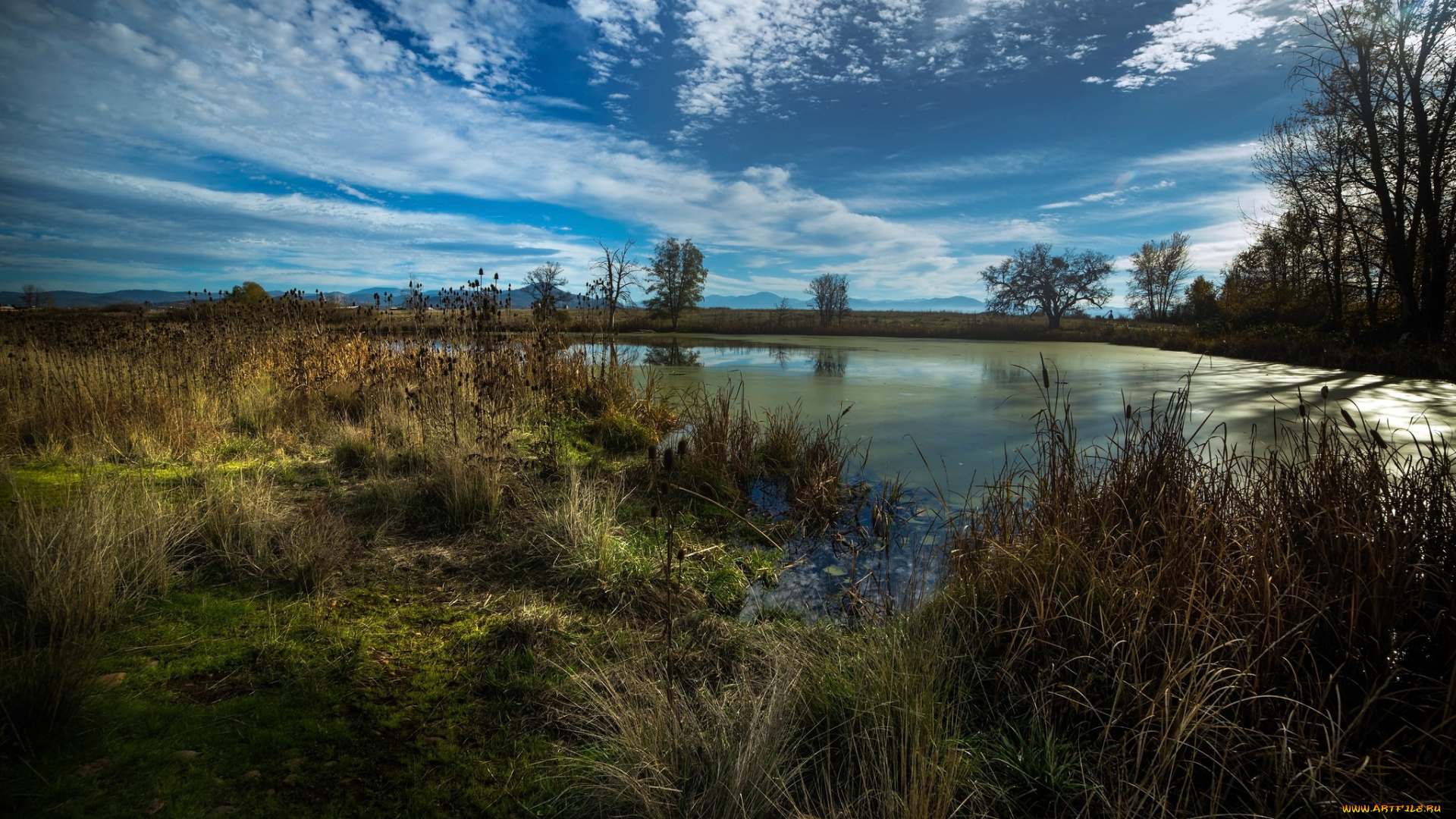 природа, реки, озера, простор