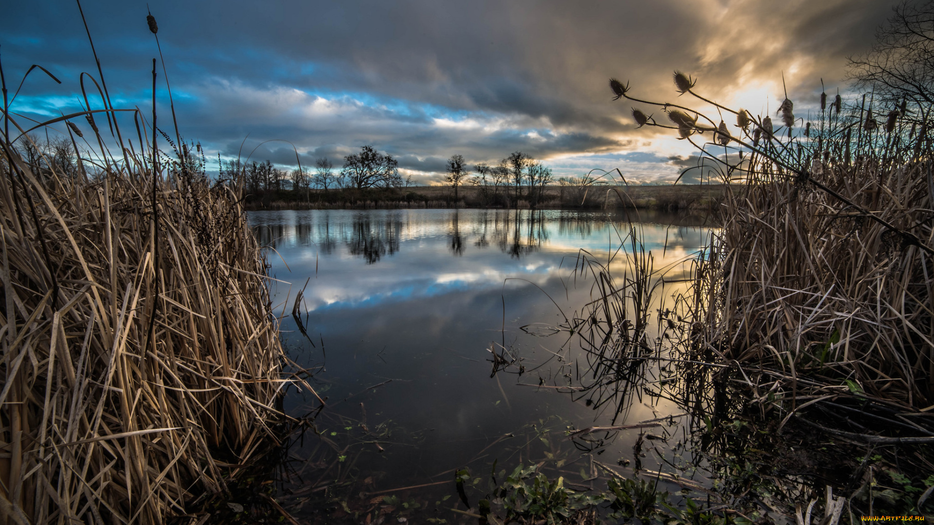 природа, реки, озера, простор