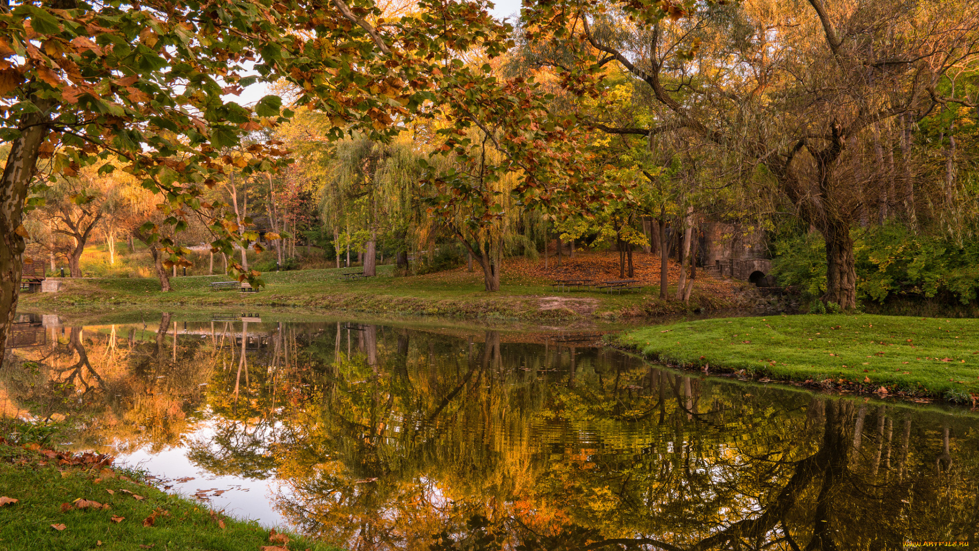 природа, реки, озера, простор