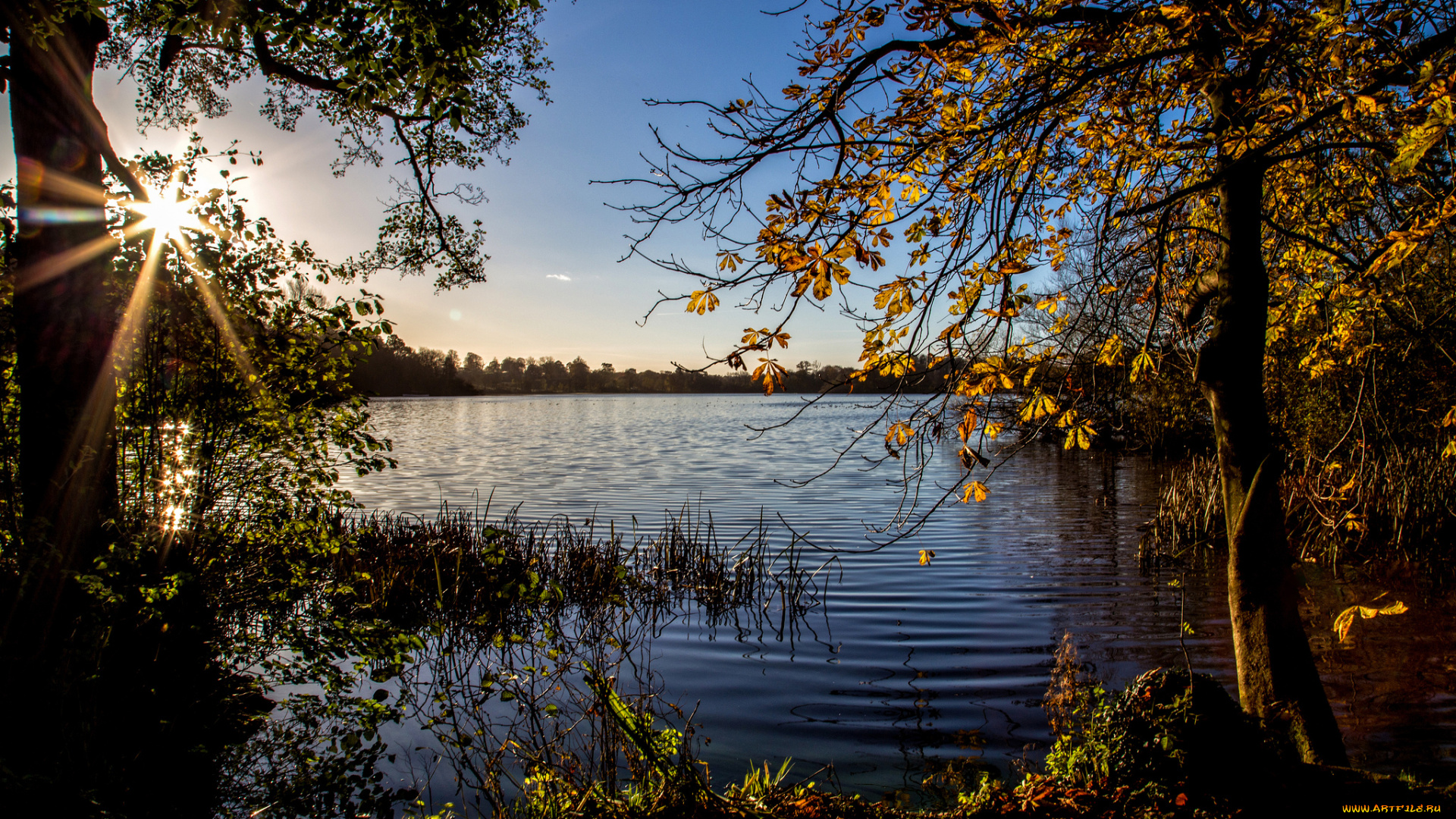 природа, реки, озера, простор