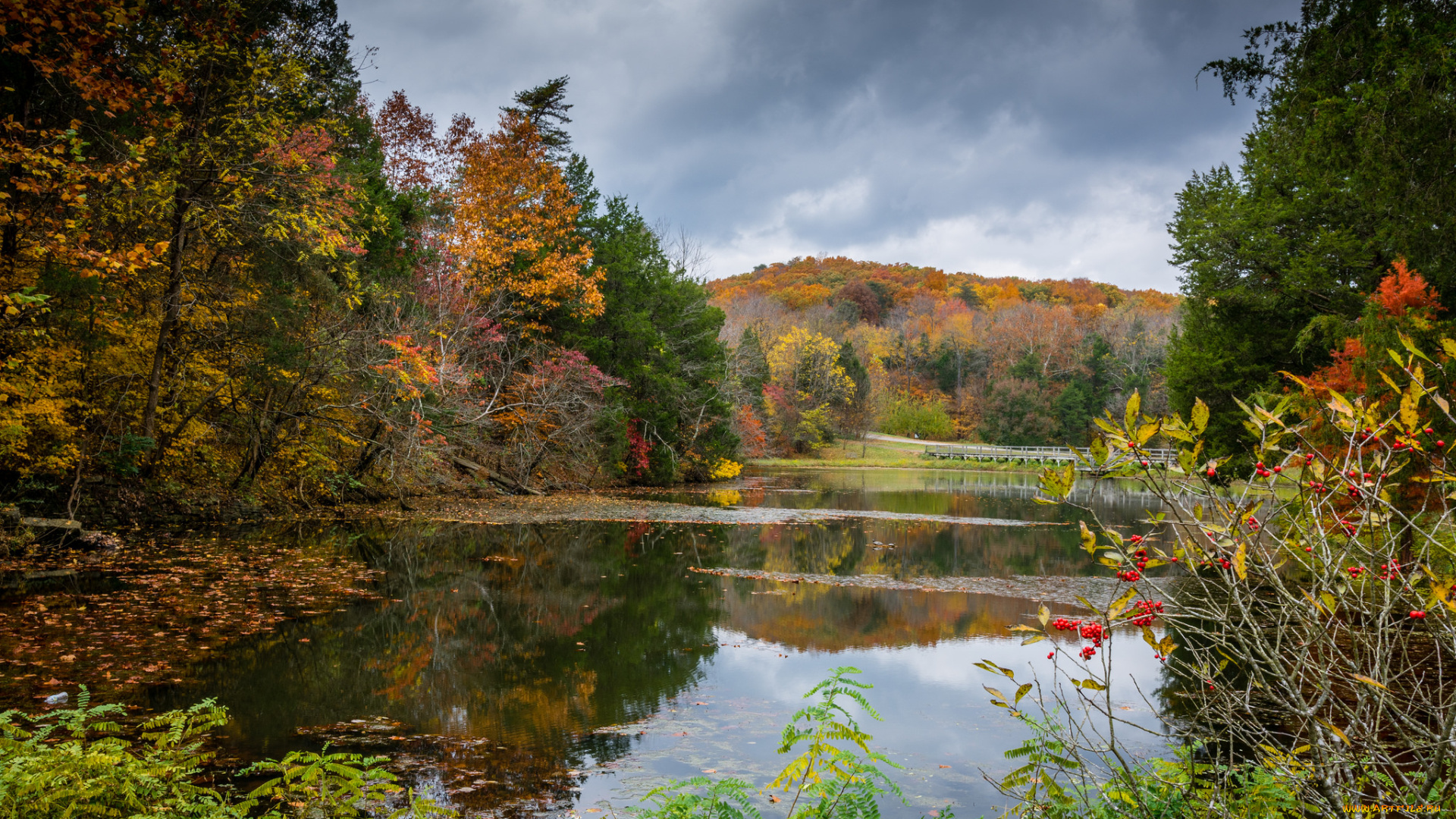 природа, реки, озера, простор