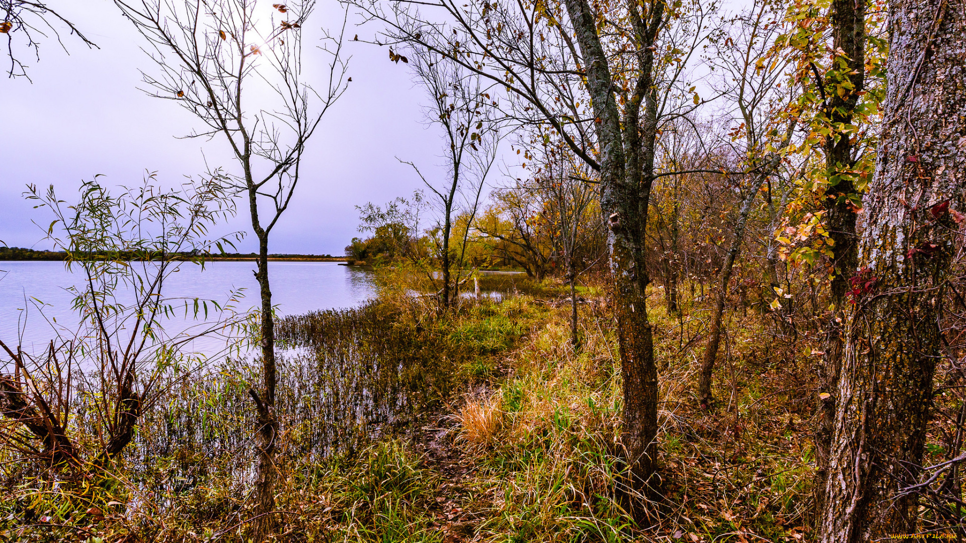 природа, реки, озера, простор