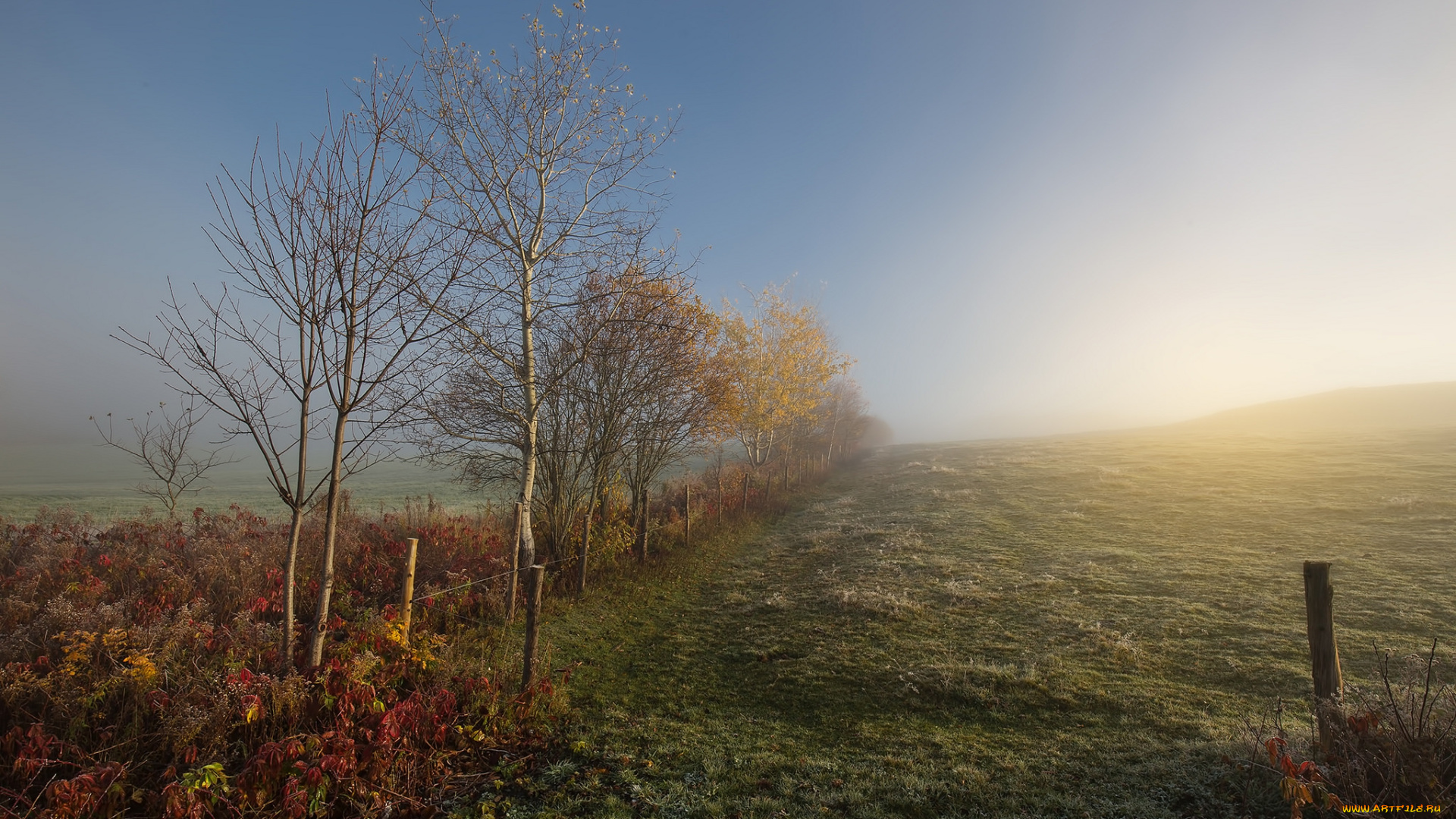 природа, восходы, закаты, простор