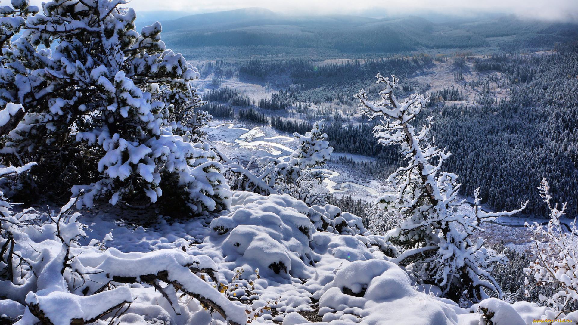 природа, зима, простор