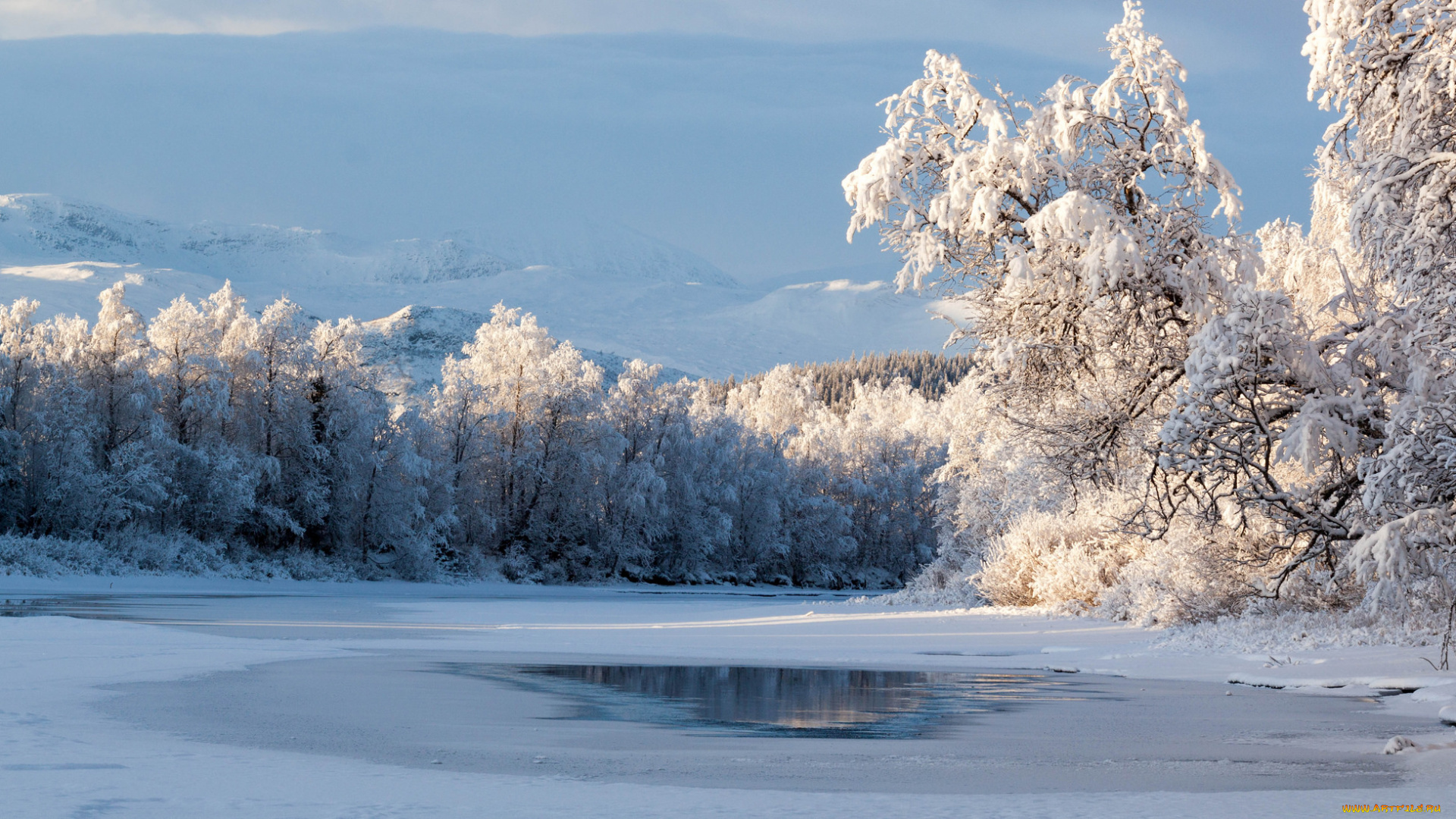природа, зима, простор