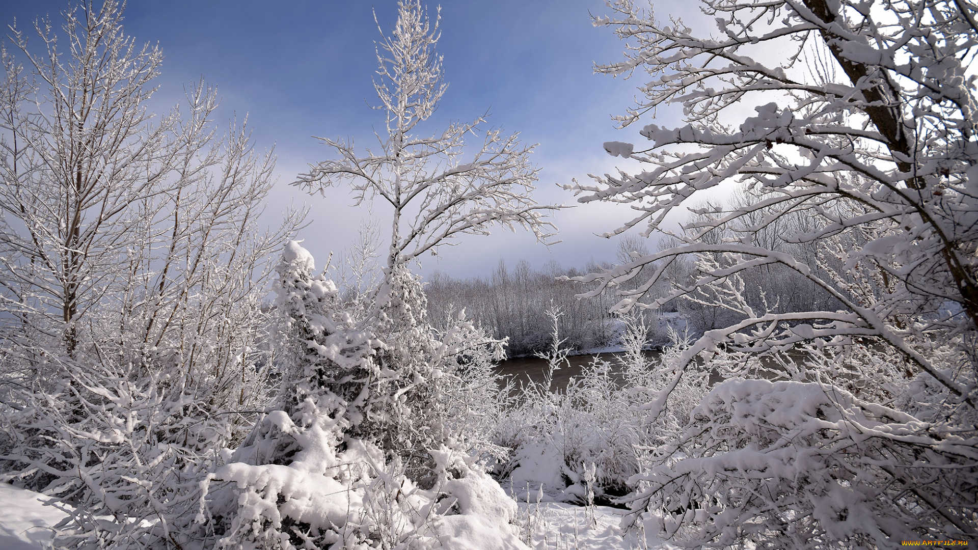 природа, зима, простор