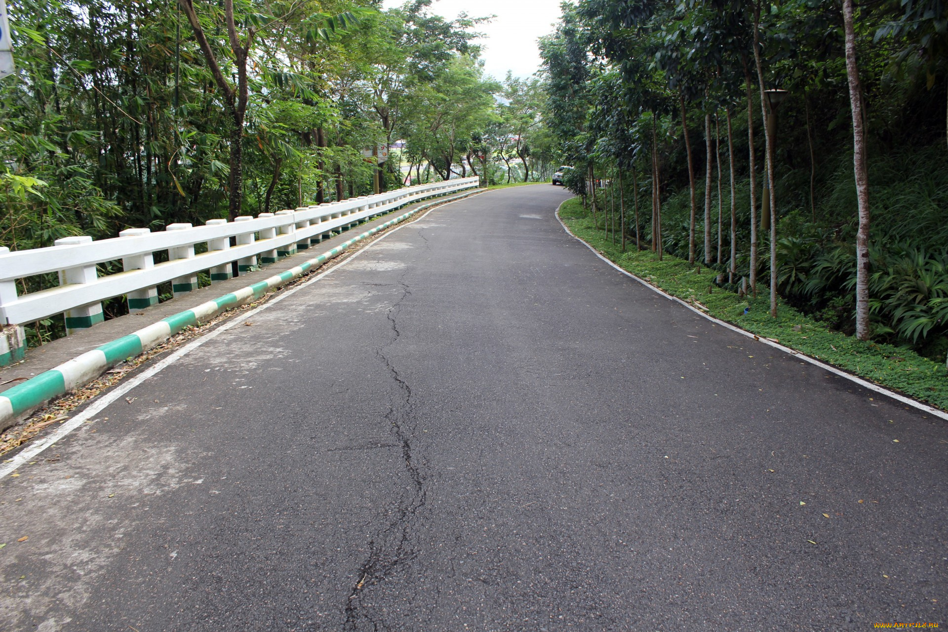 природа, дороги, шоссе