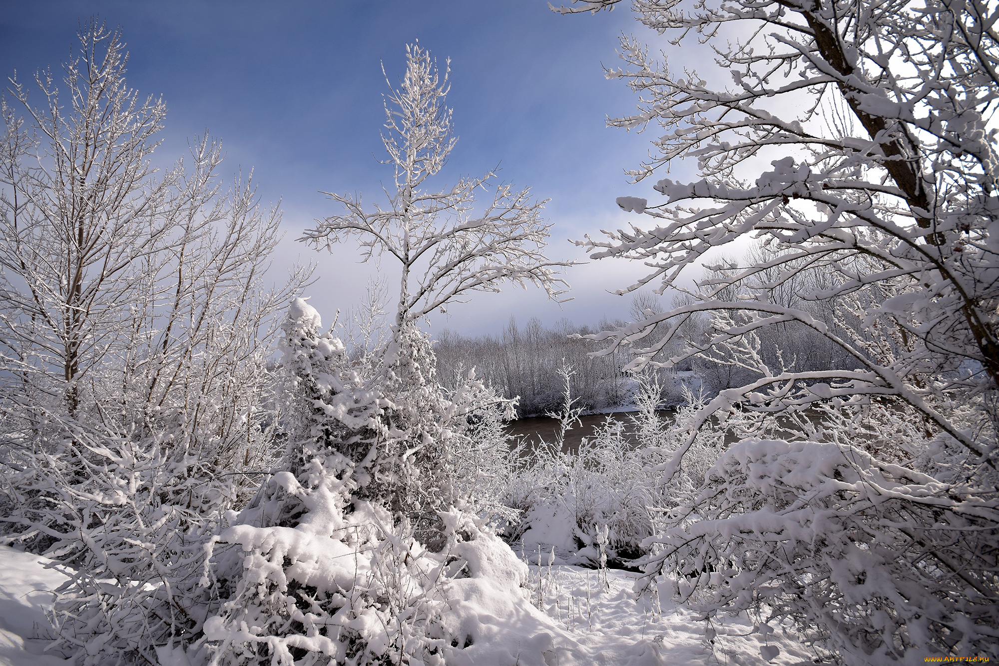 природа, зима, простор