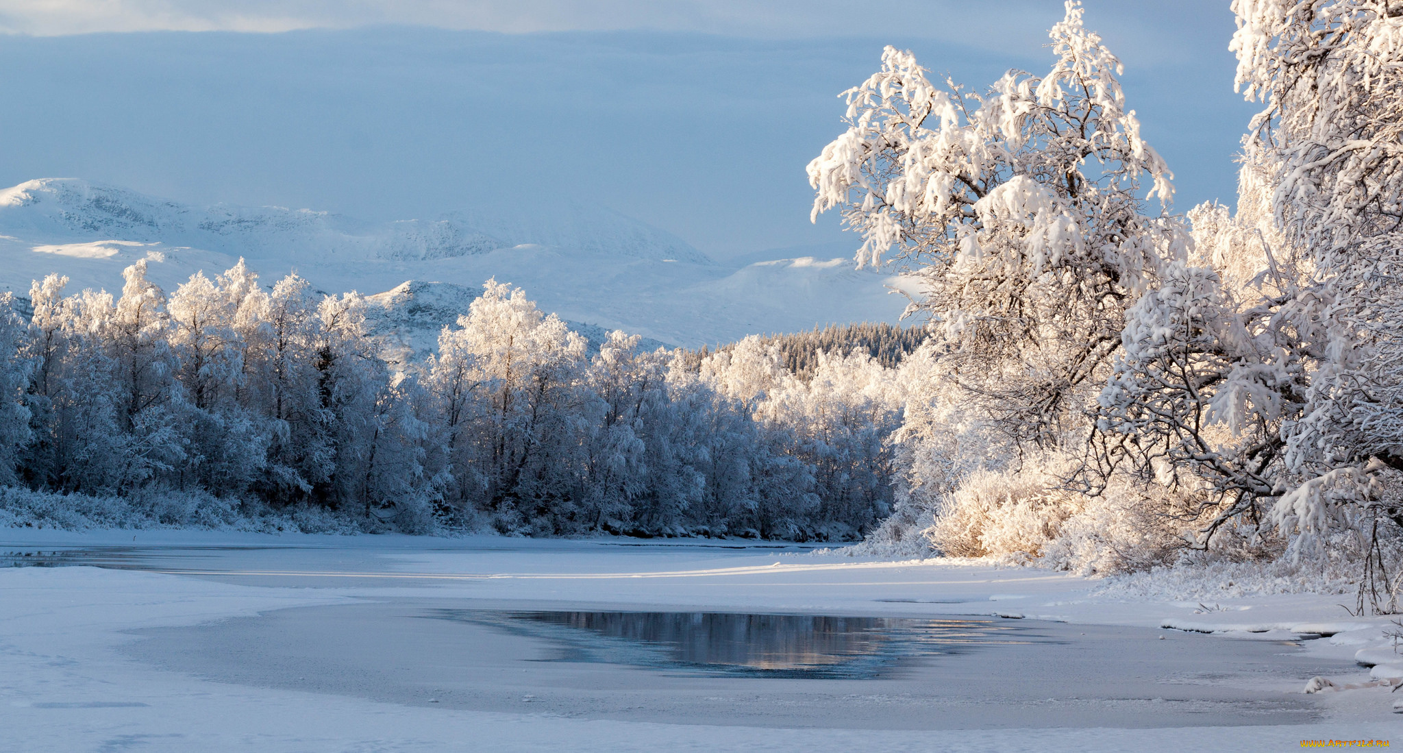 природа, зима, простор