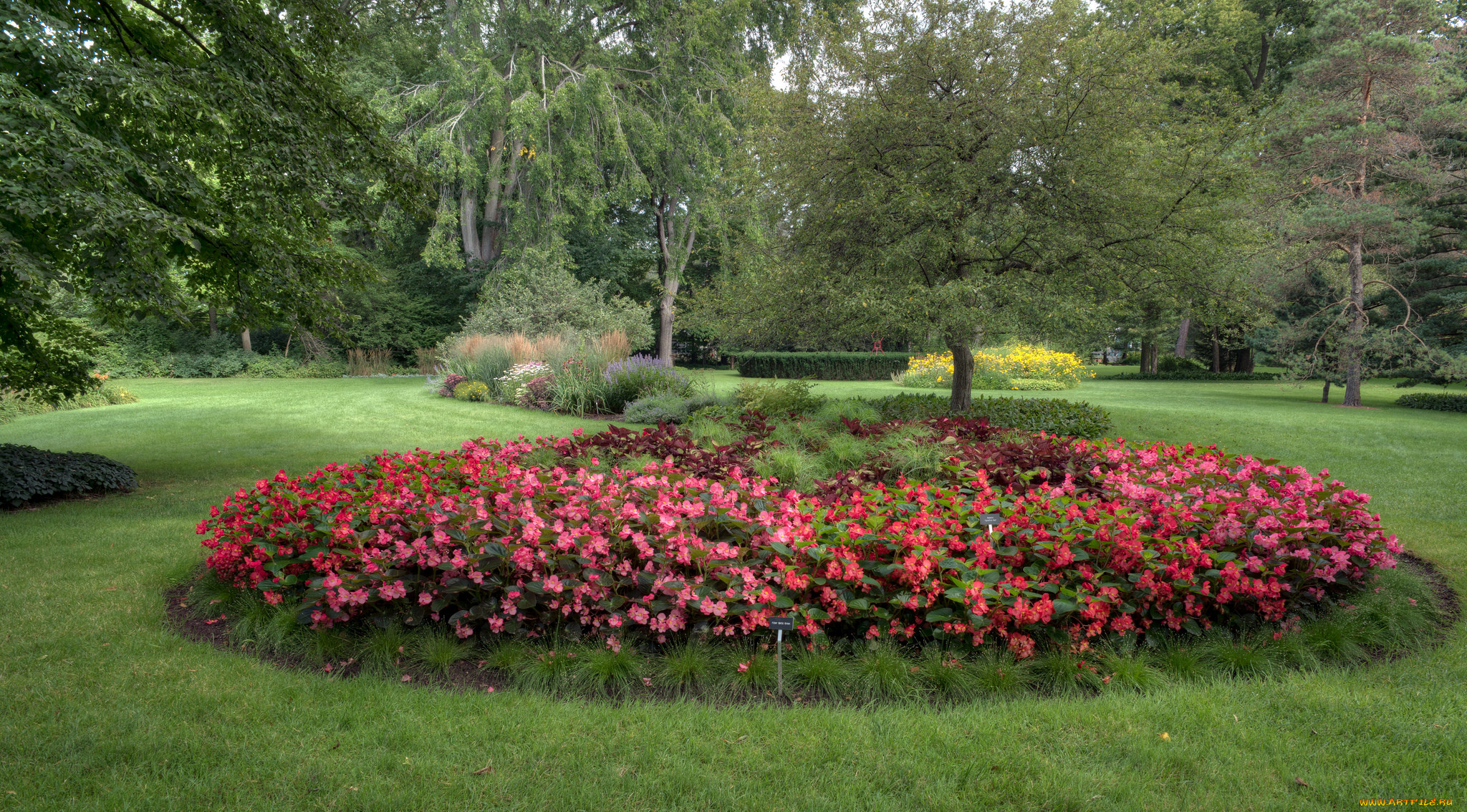 природа, парк, простор