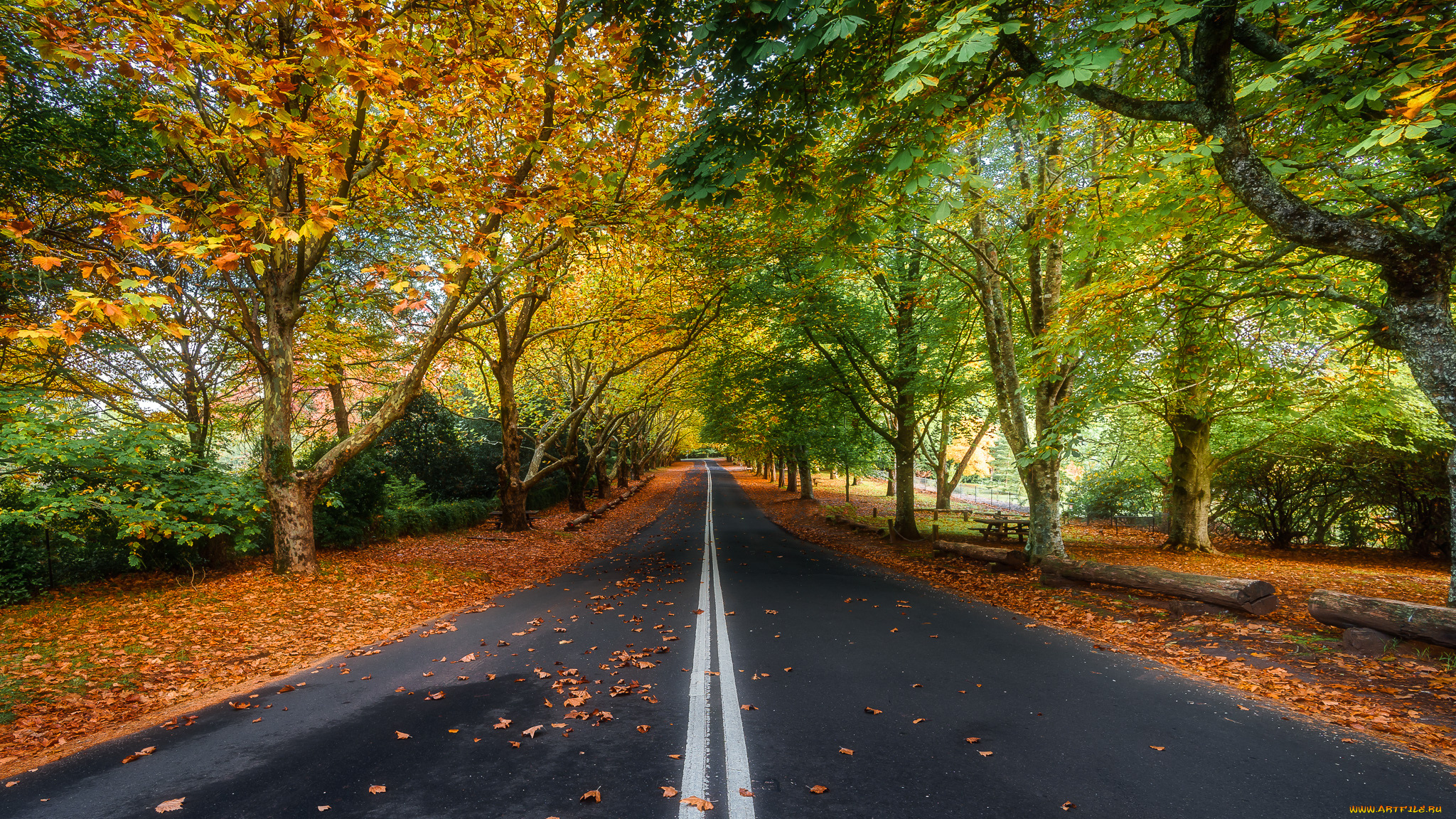 природа, дороги, простор