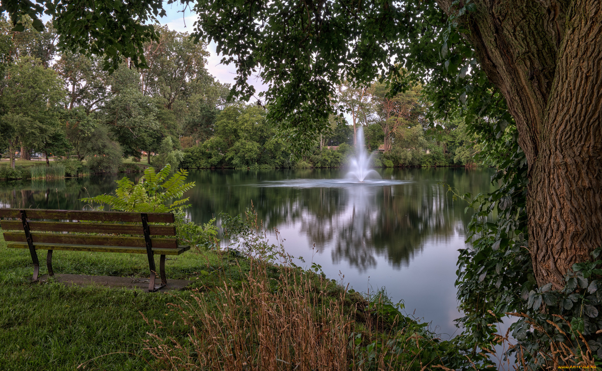 природа, реки, озера, простор