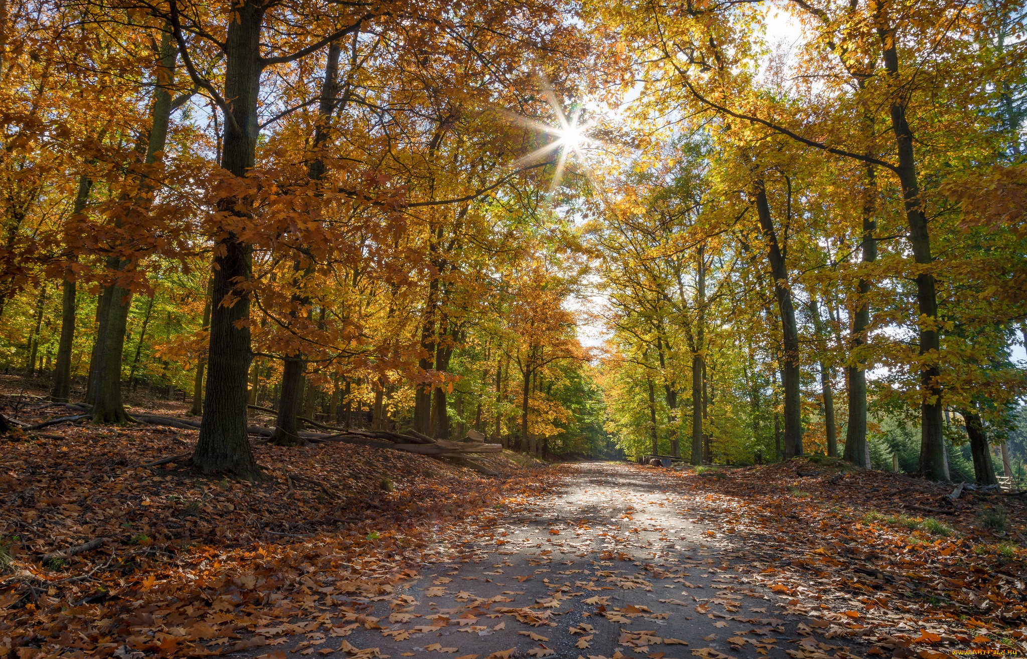 природа, дороги, простор