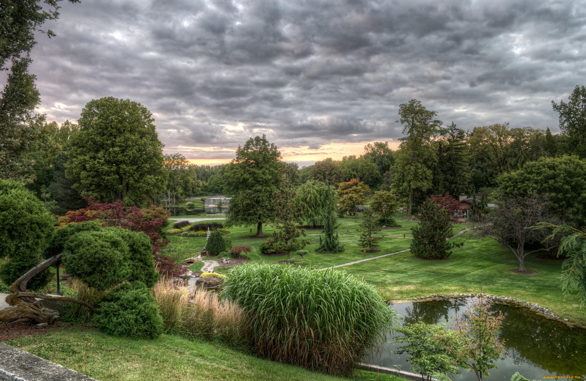 природа, парк, простор