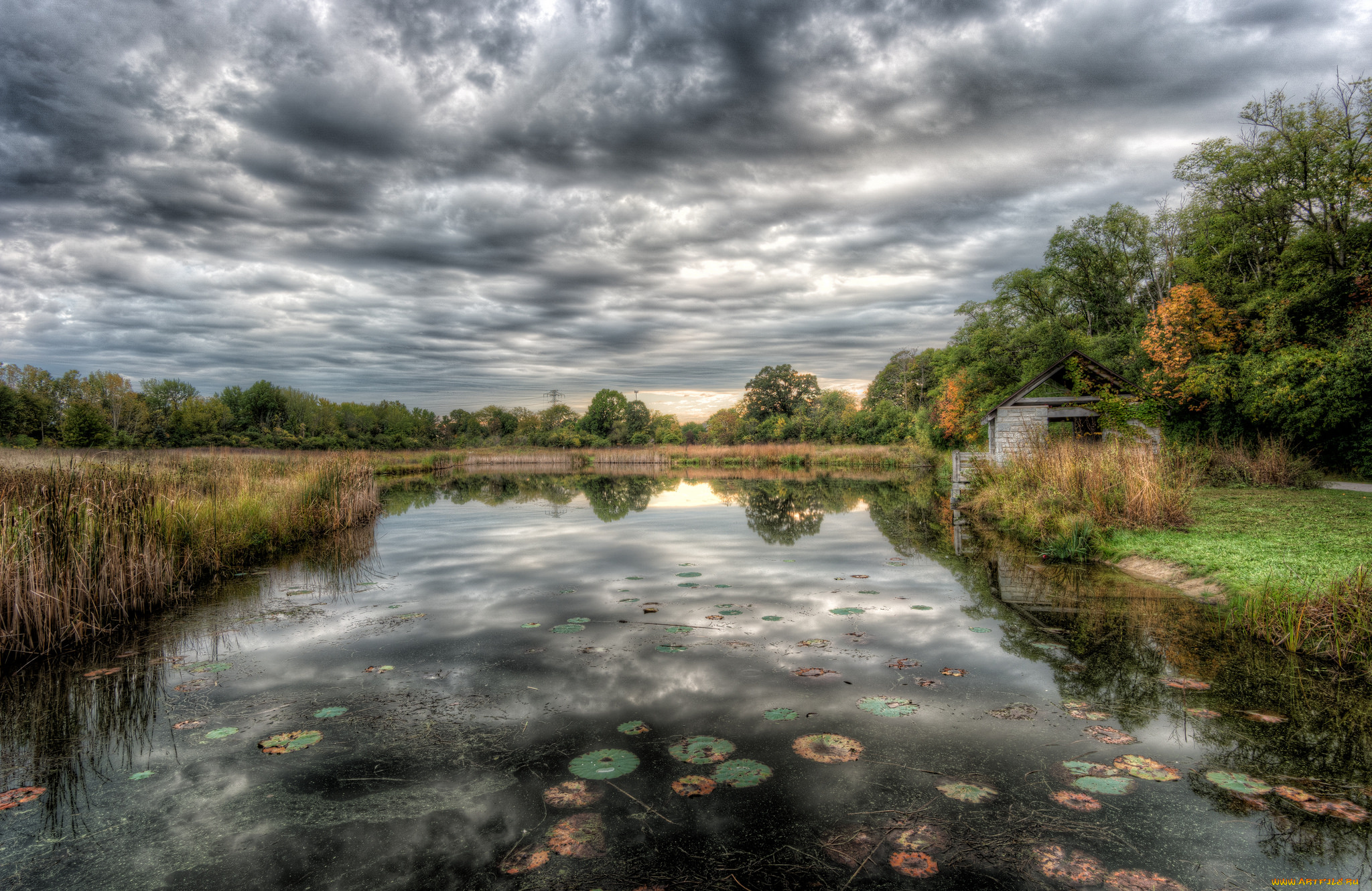 природа, реки, озера, простор