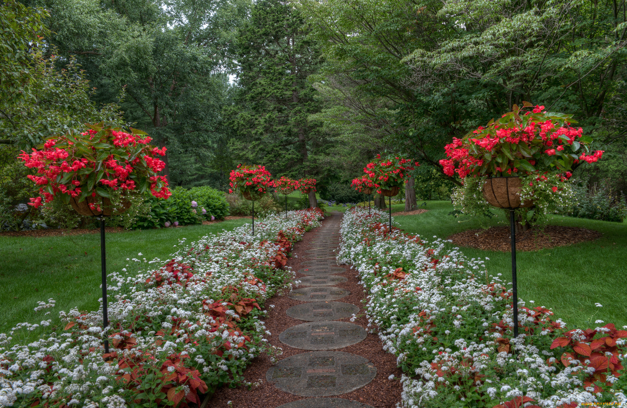 природа, парк, простор