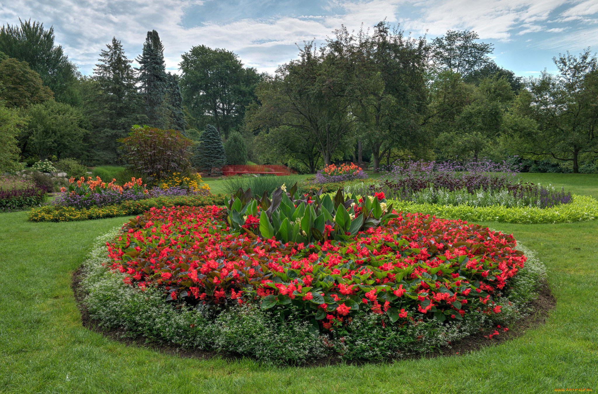 природа, парк, простор