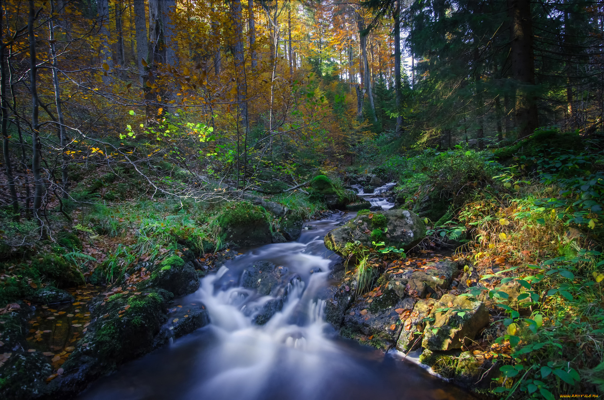 природа, реки, озера, простор