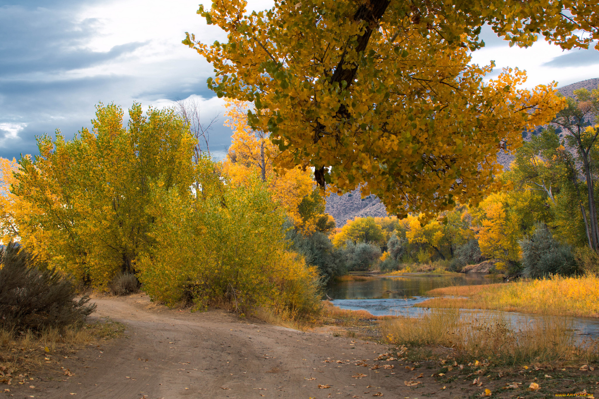 природа, дороги, простор