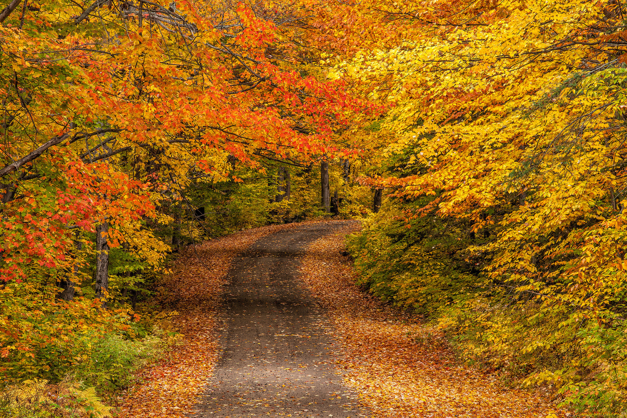 природа, дороги, простор