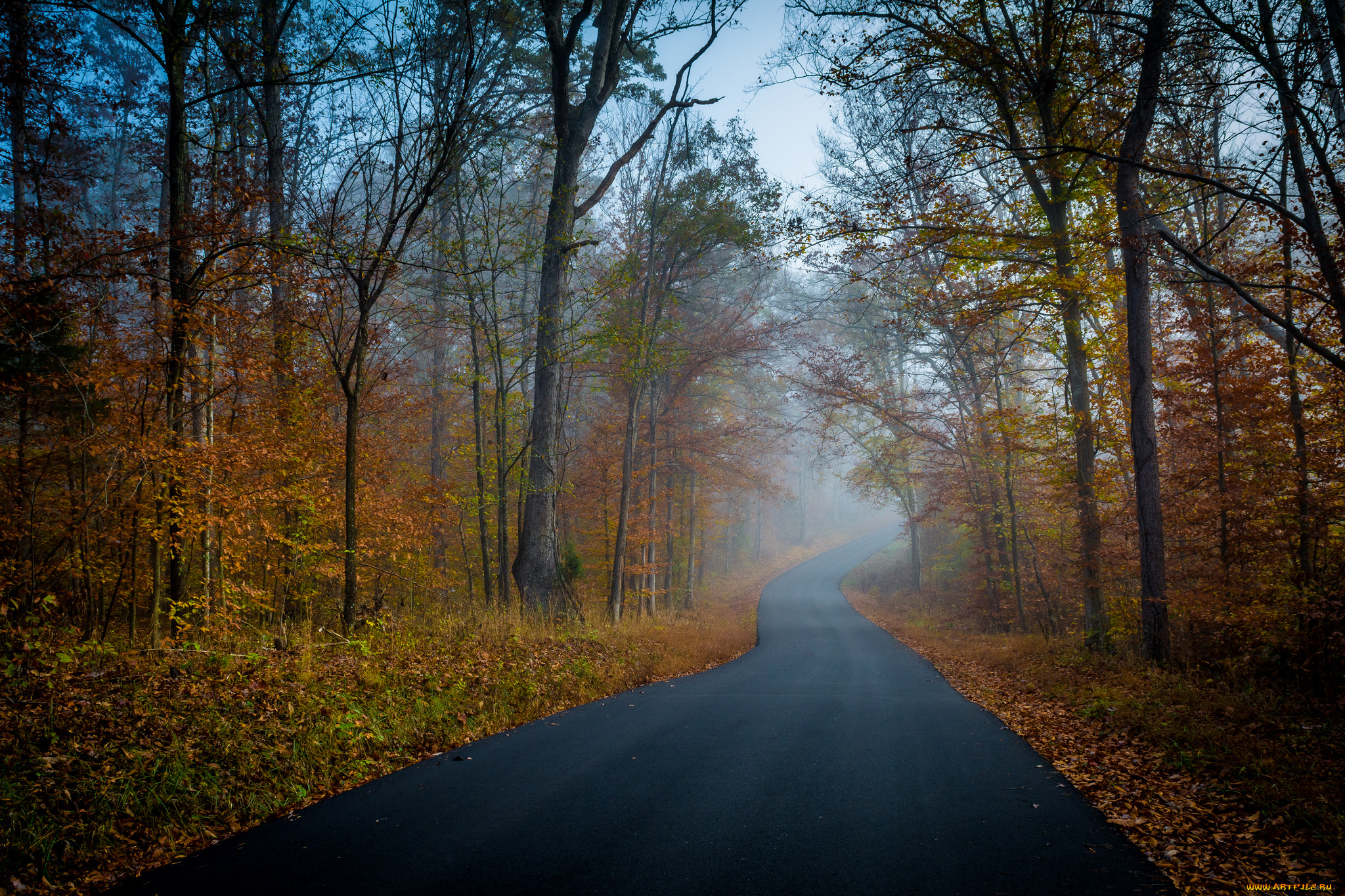 природа, дороги, простор