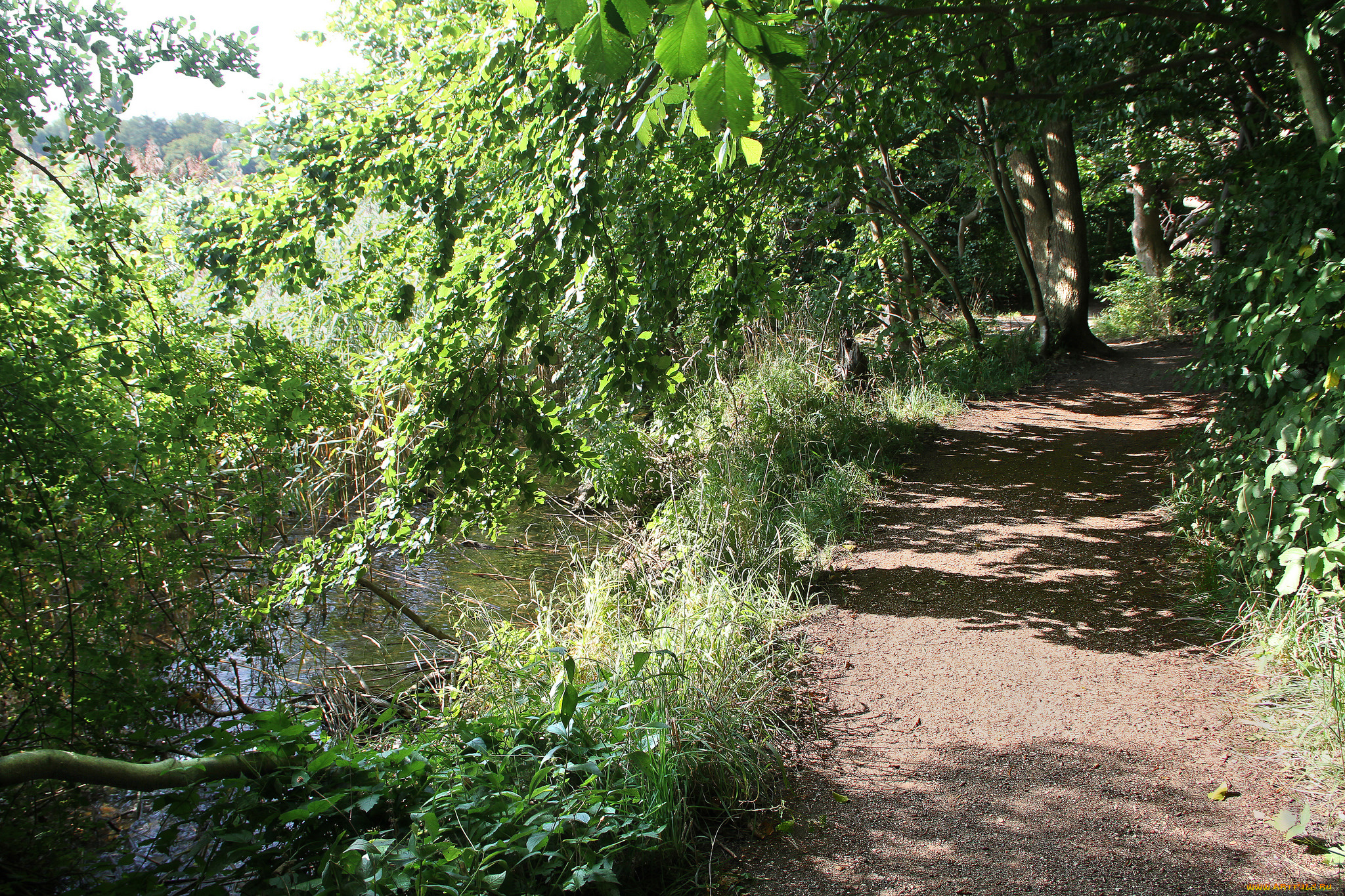 природа, дороги, простор