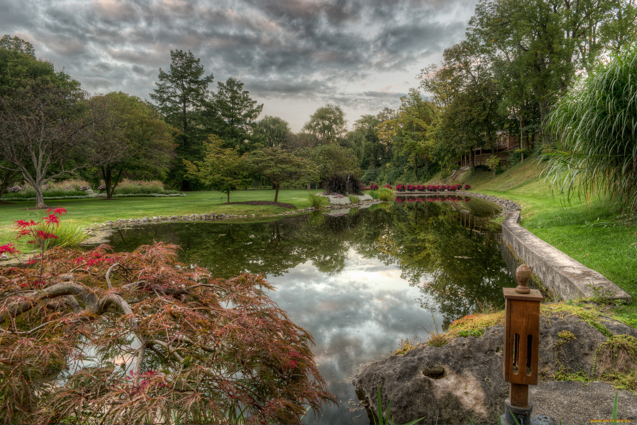 природа, парк, простор