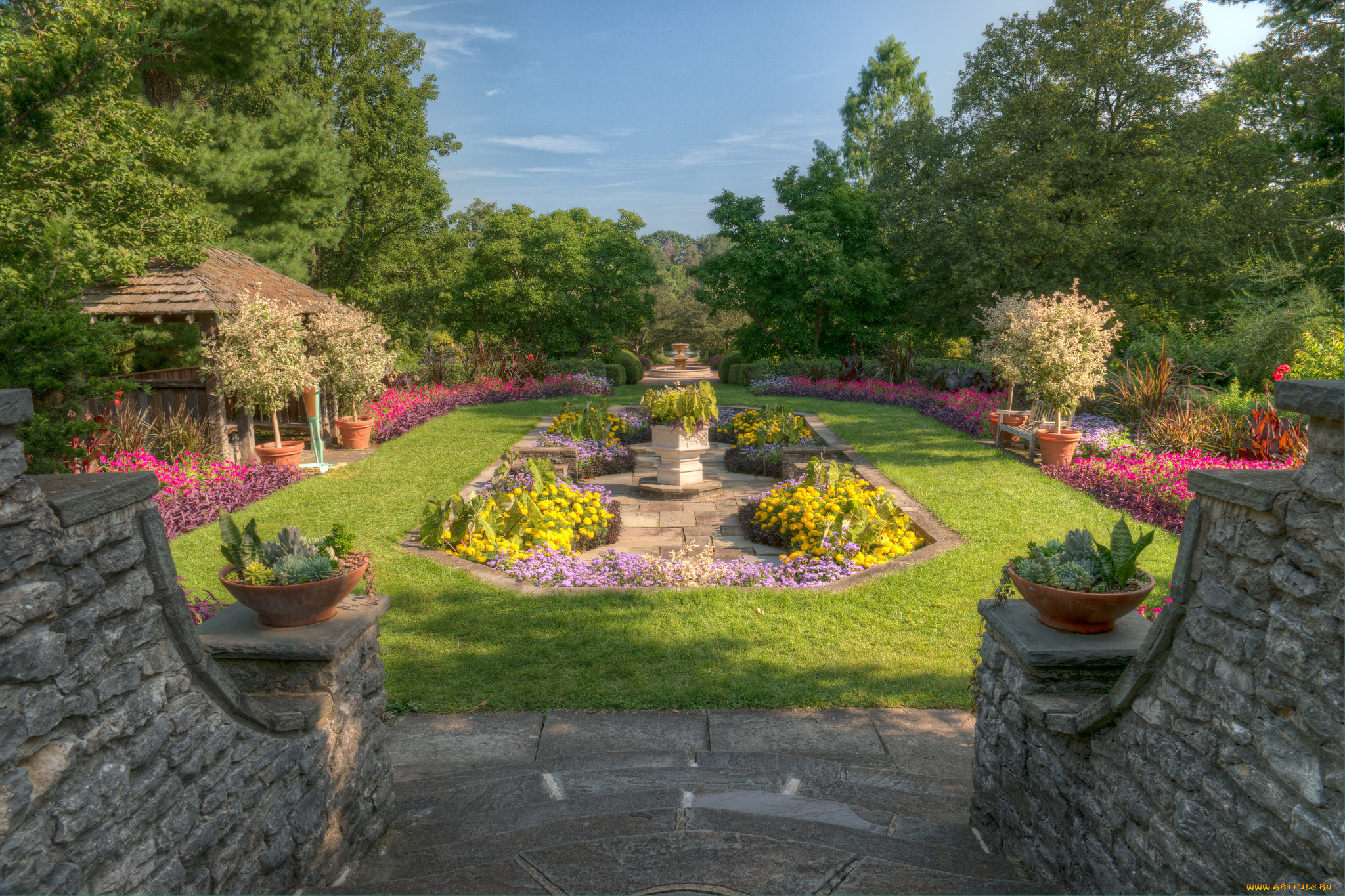 природа, парк, простор