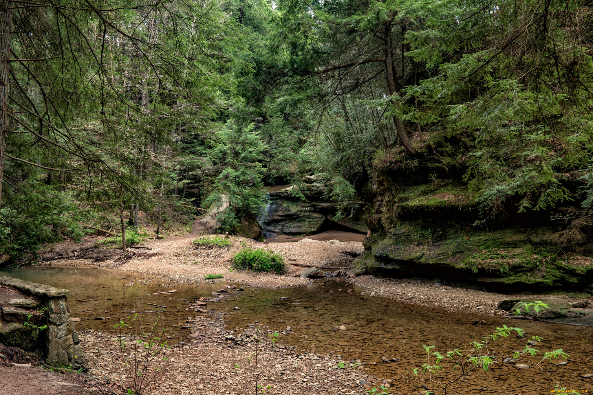 природа, реки, озера, простор