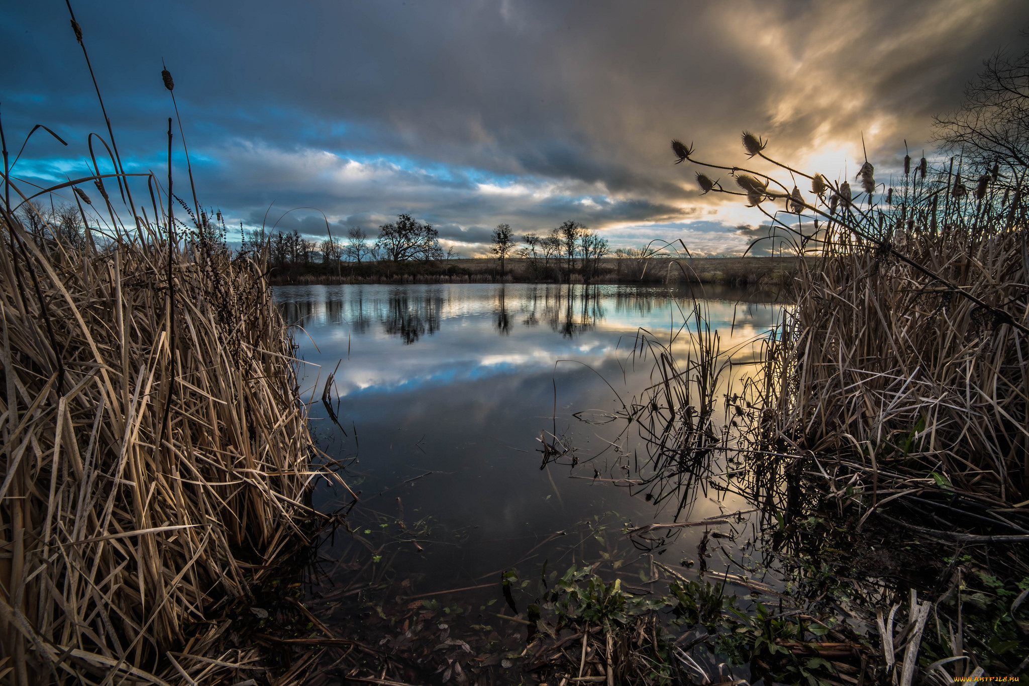 природа, реки, озера, простор