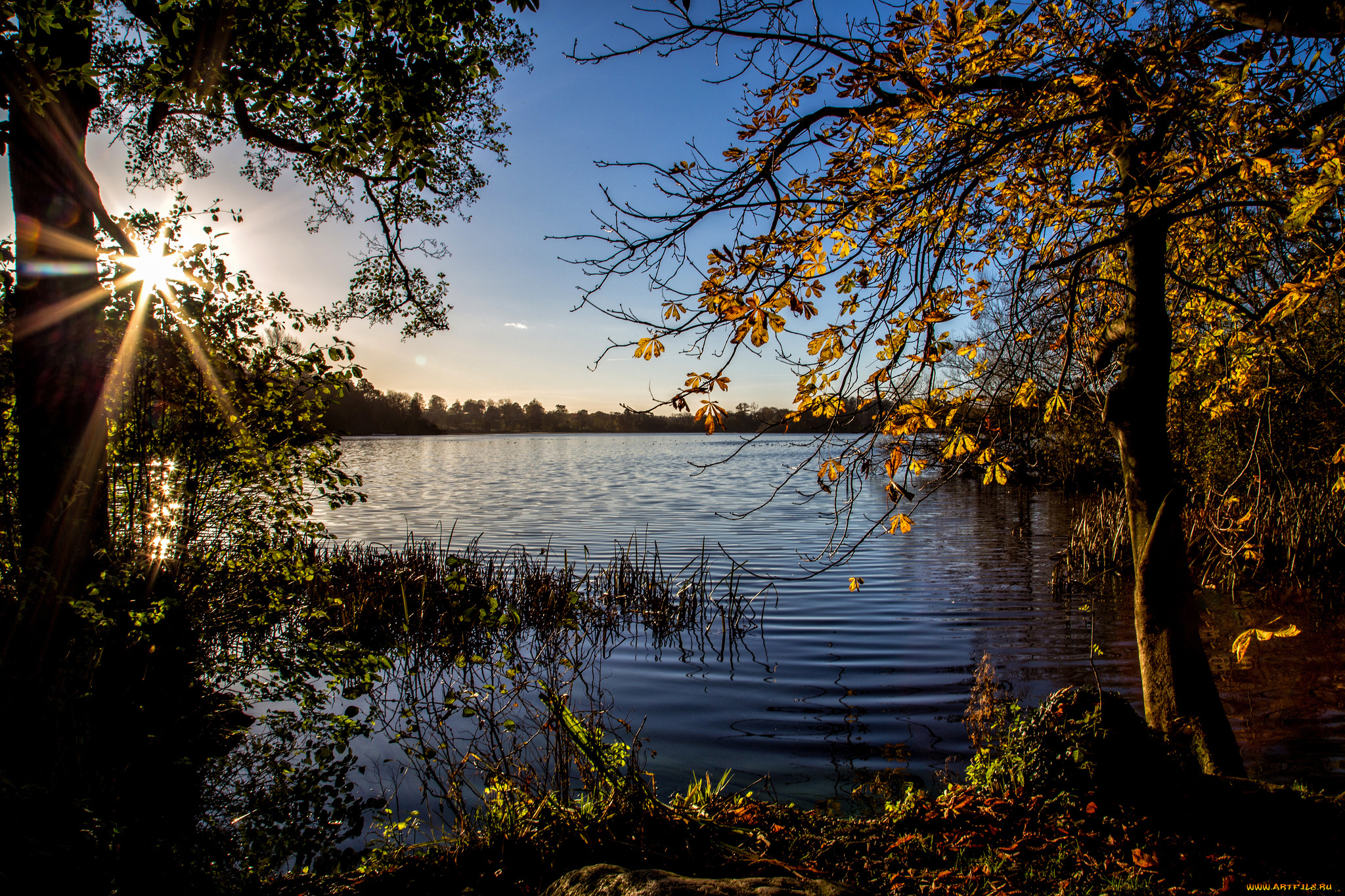 природа, реки, озера, простор