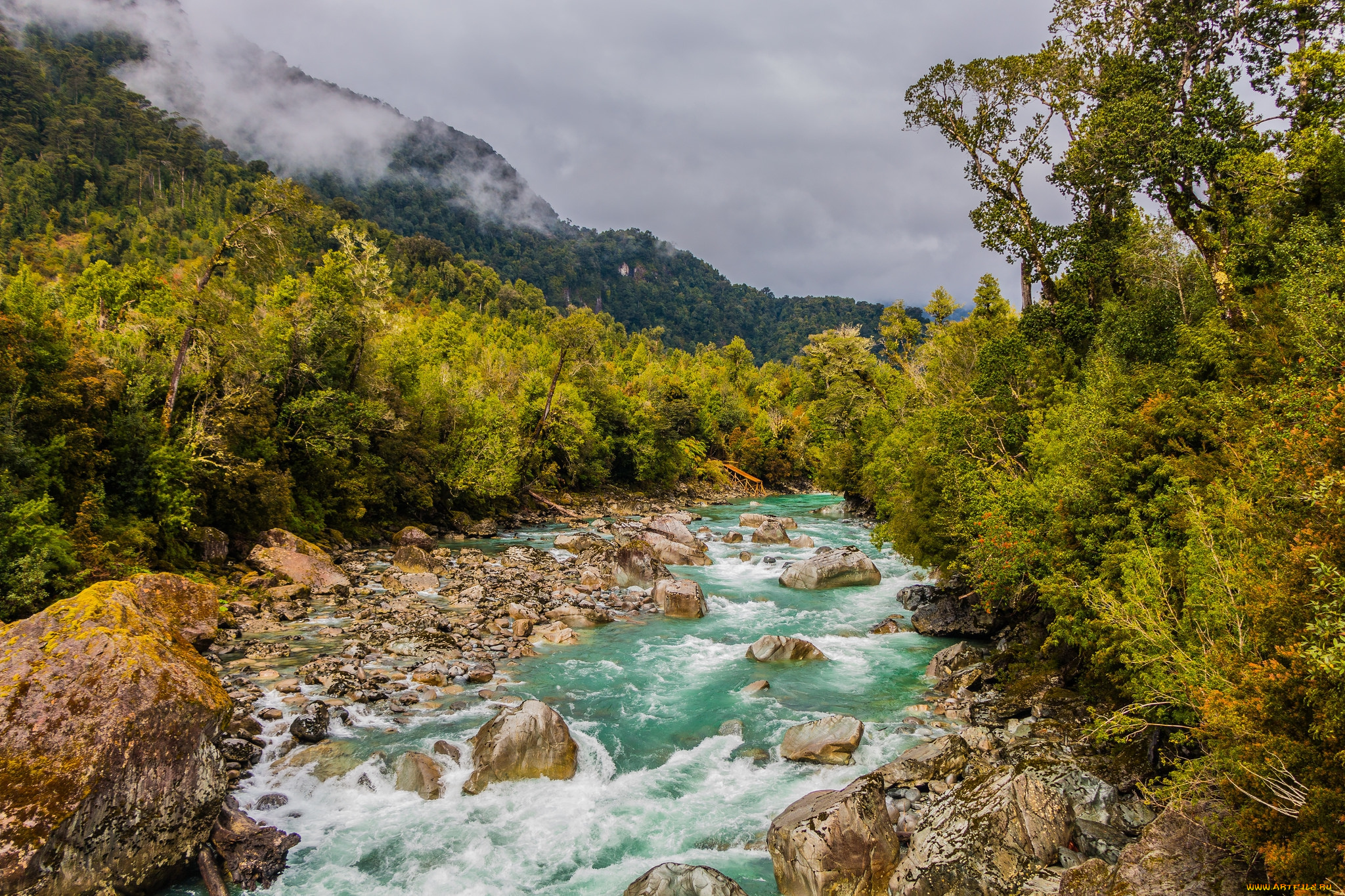 природа, реки, озера, простор