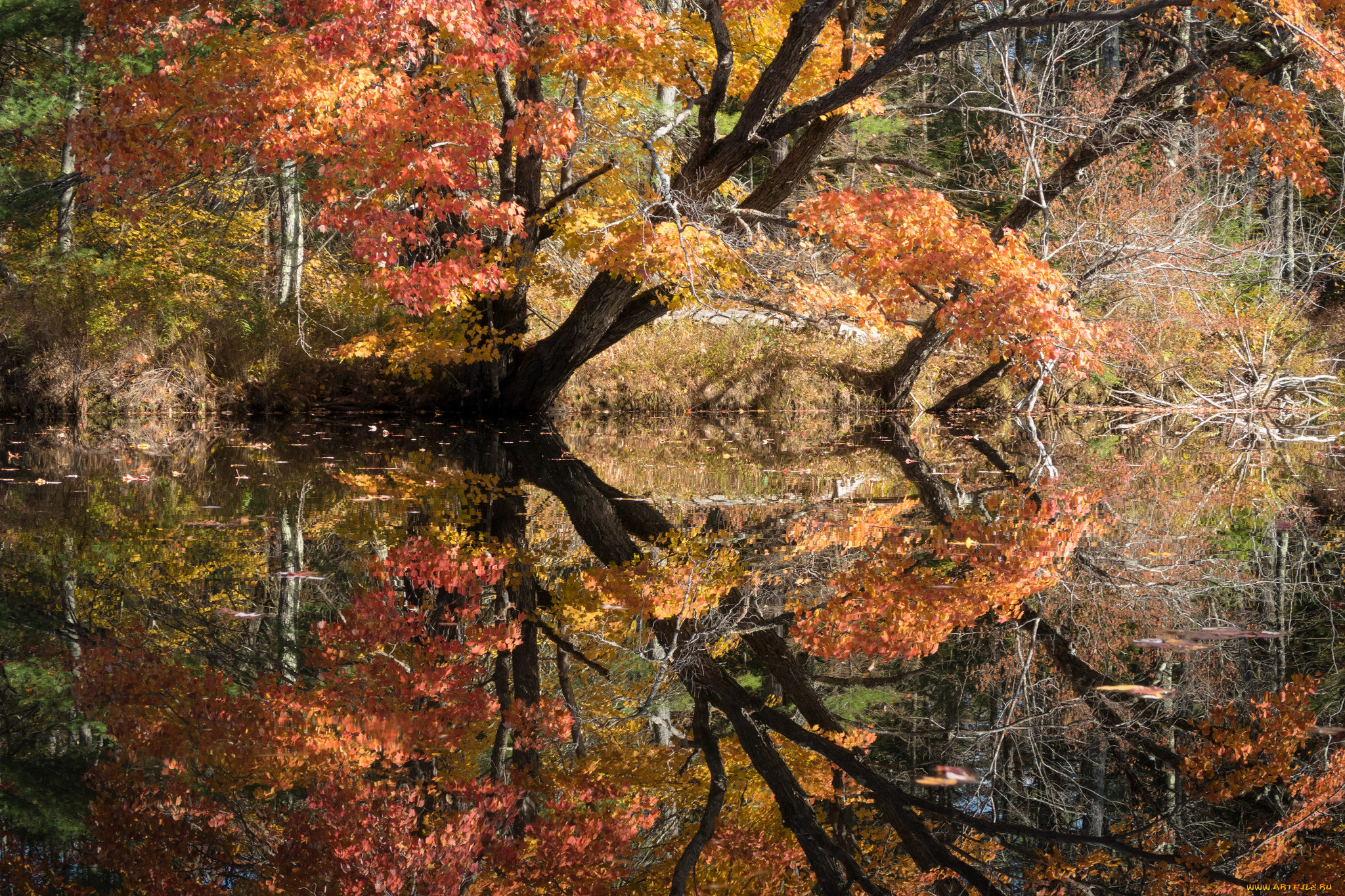 природа, реки, озера, простор