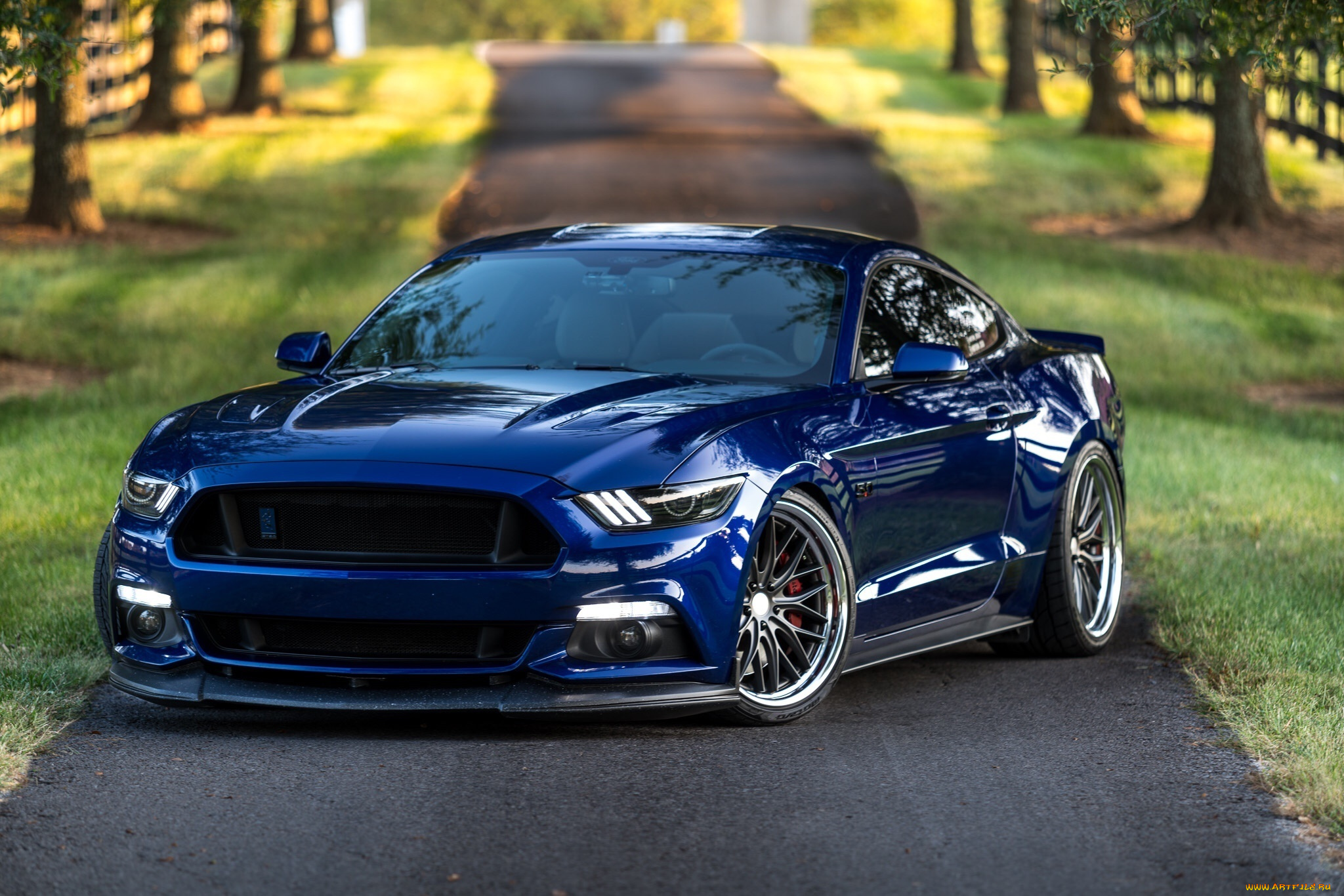 автомобили, mustang, ford