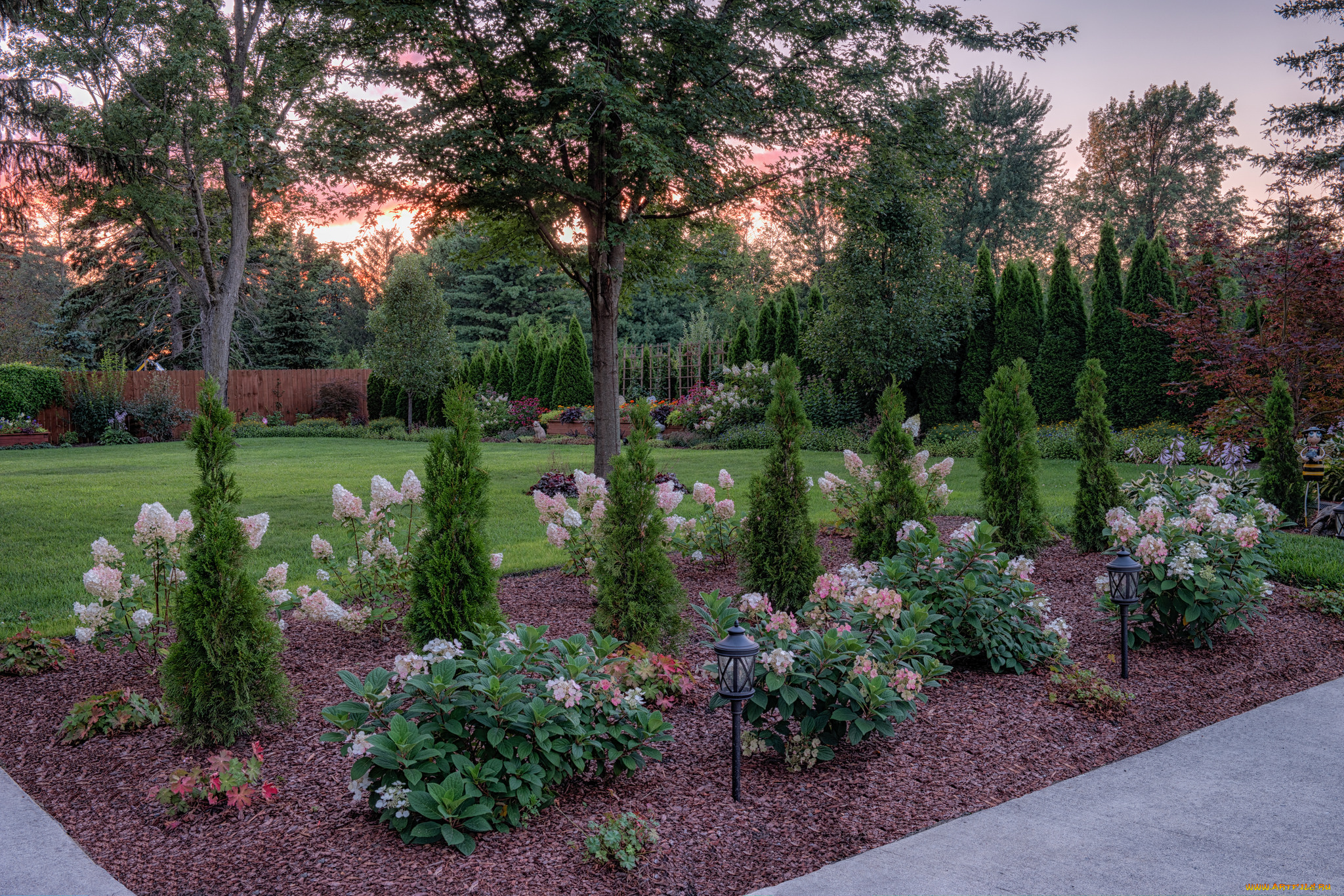 природа, парк, простор