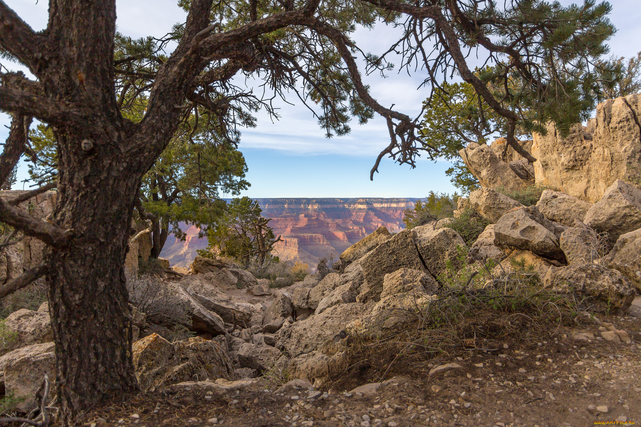 природа, пейзажи, простор