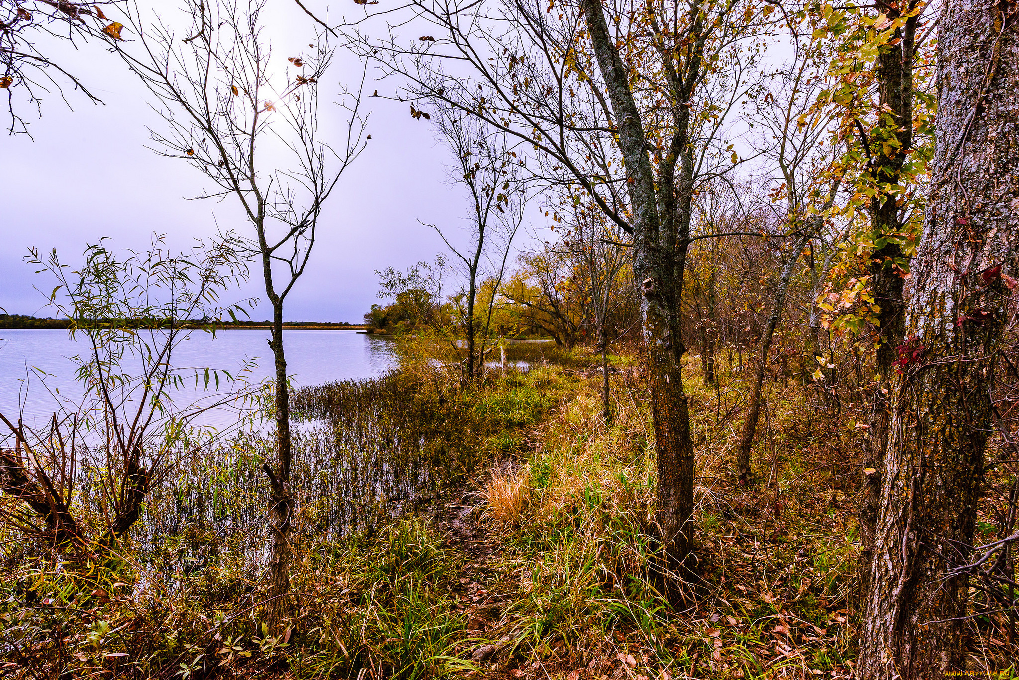 природа, реки, озера, простор