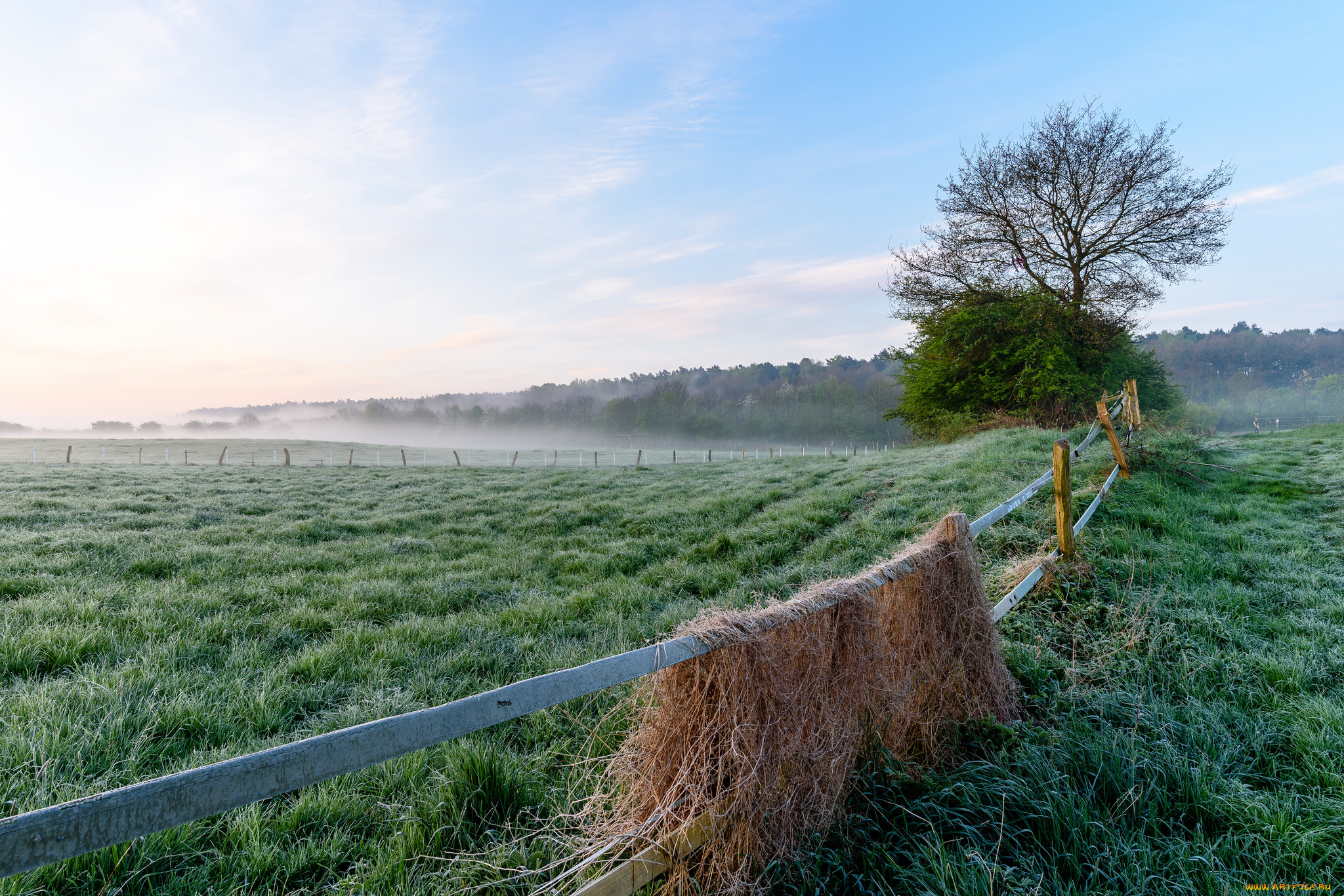 природа, поля, простор