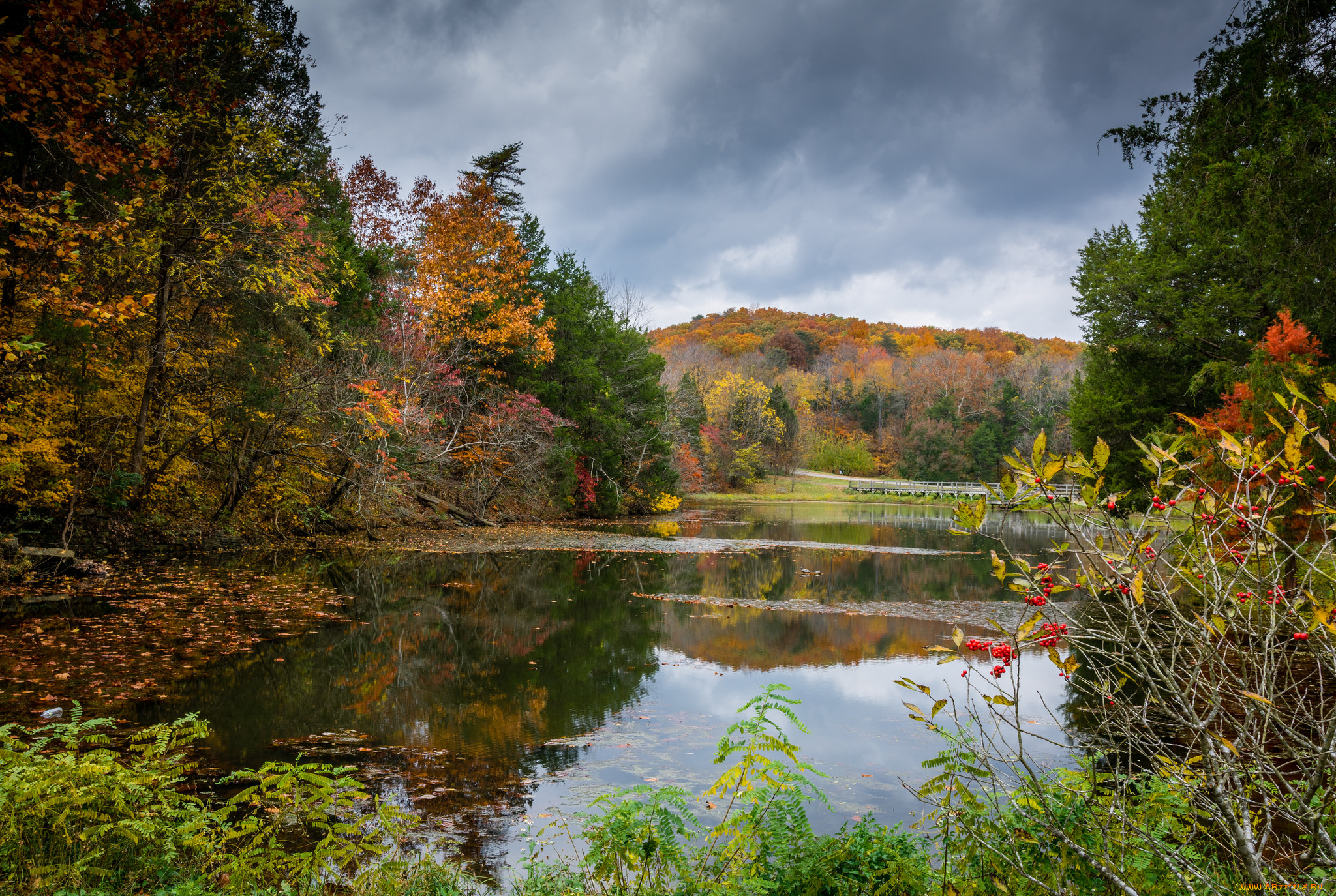 природа, реки, озера, простор