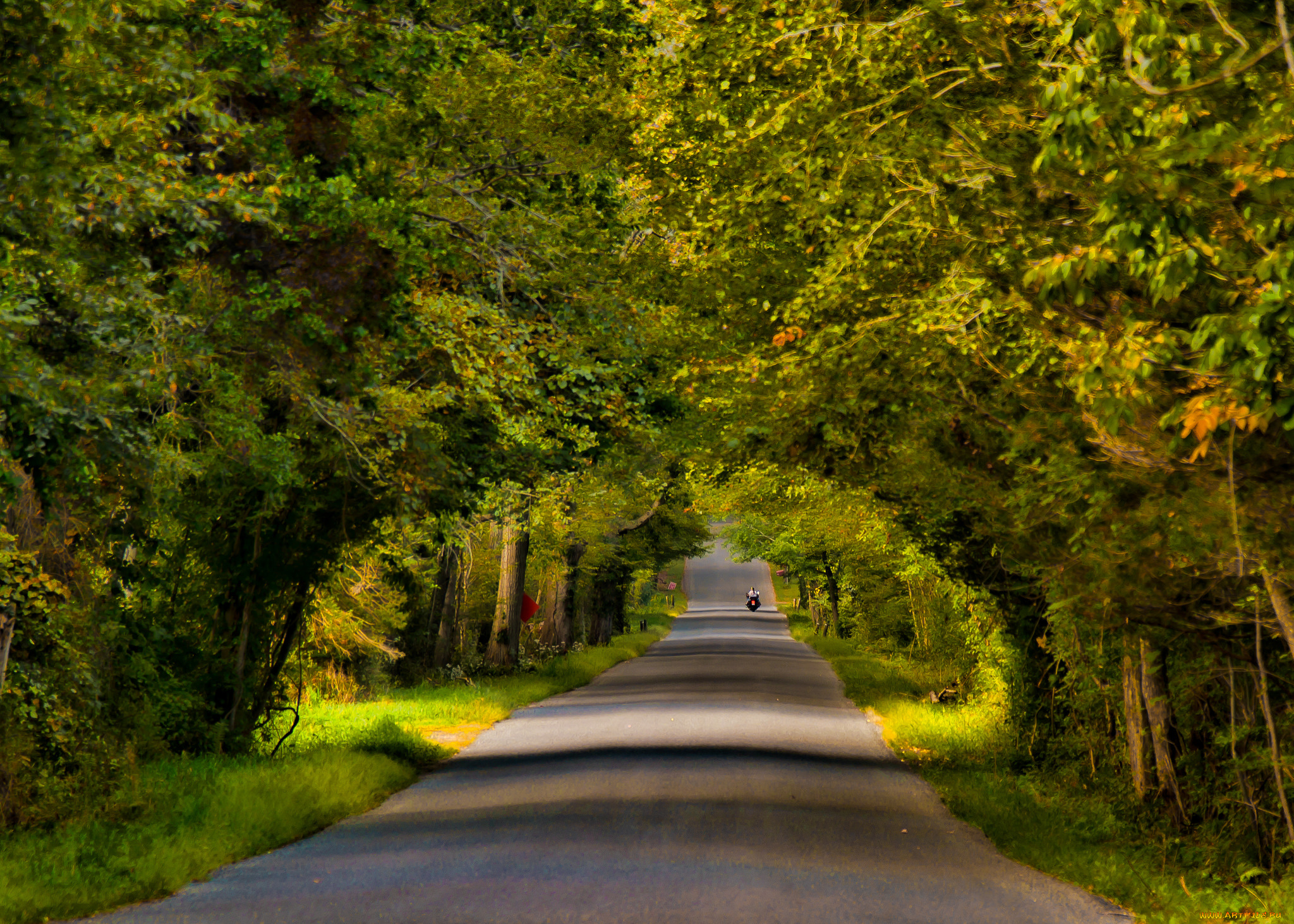 природа, дороги, простор