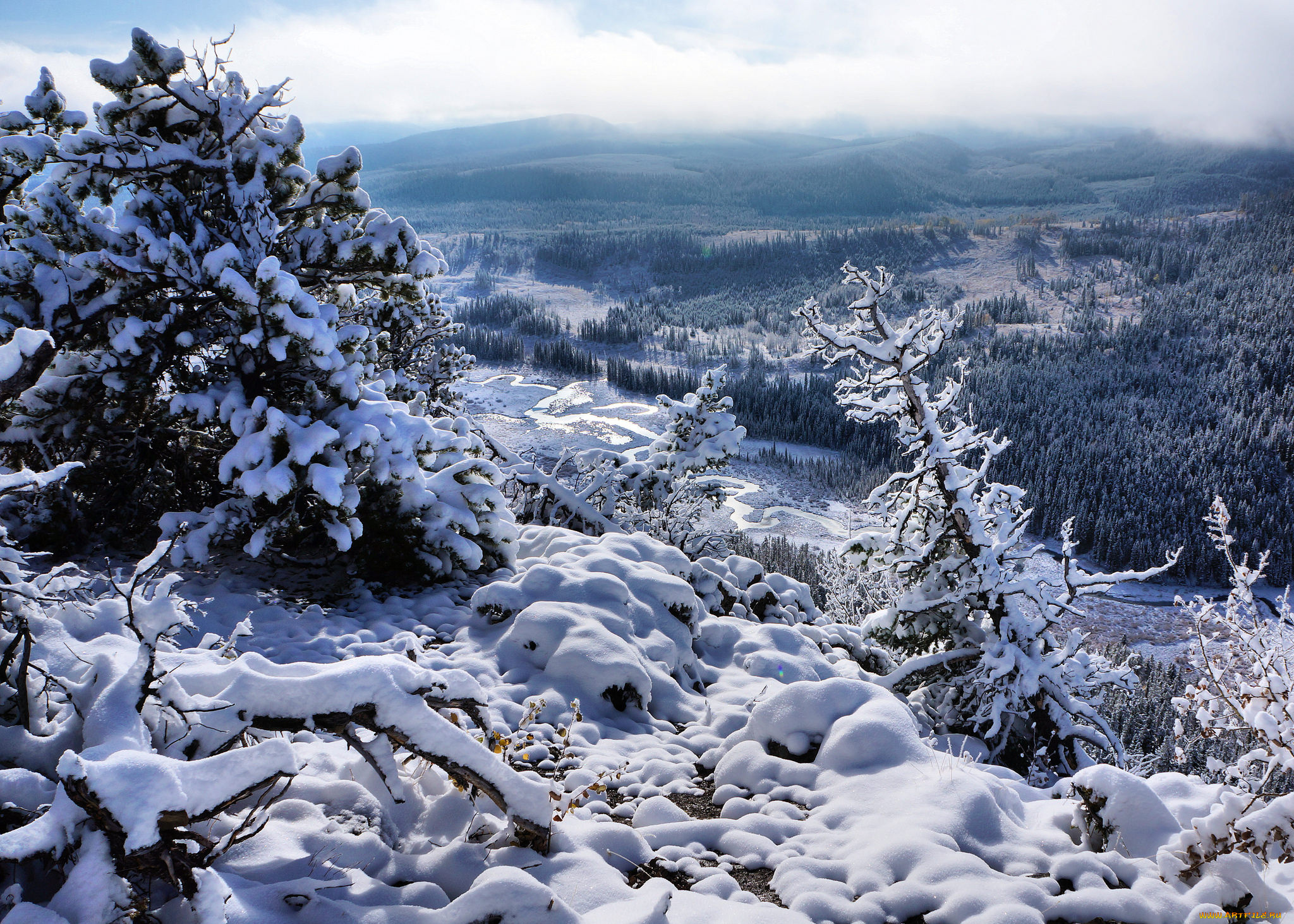 природа, зима, простор