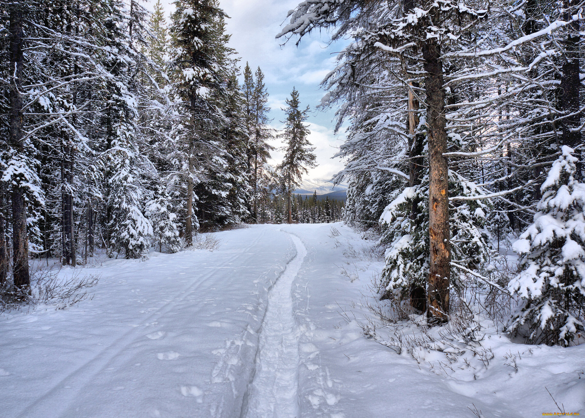 природа, зима, простор