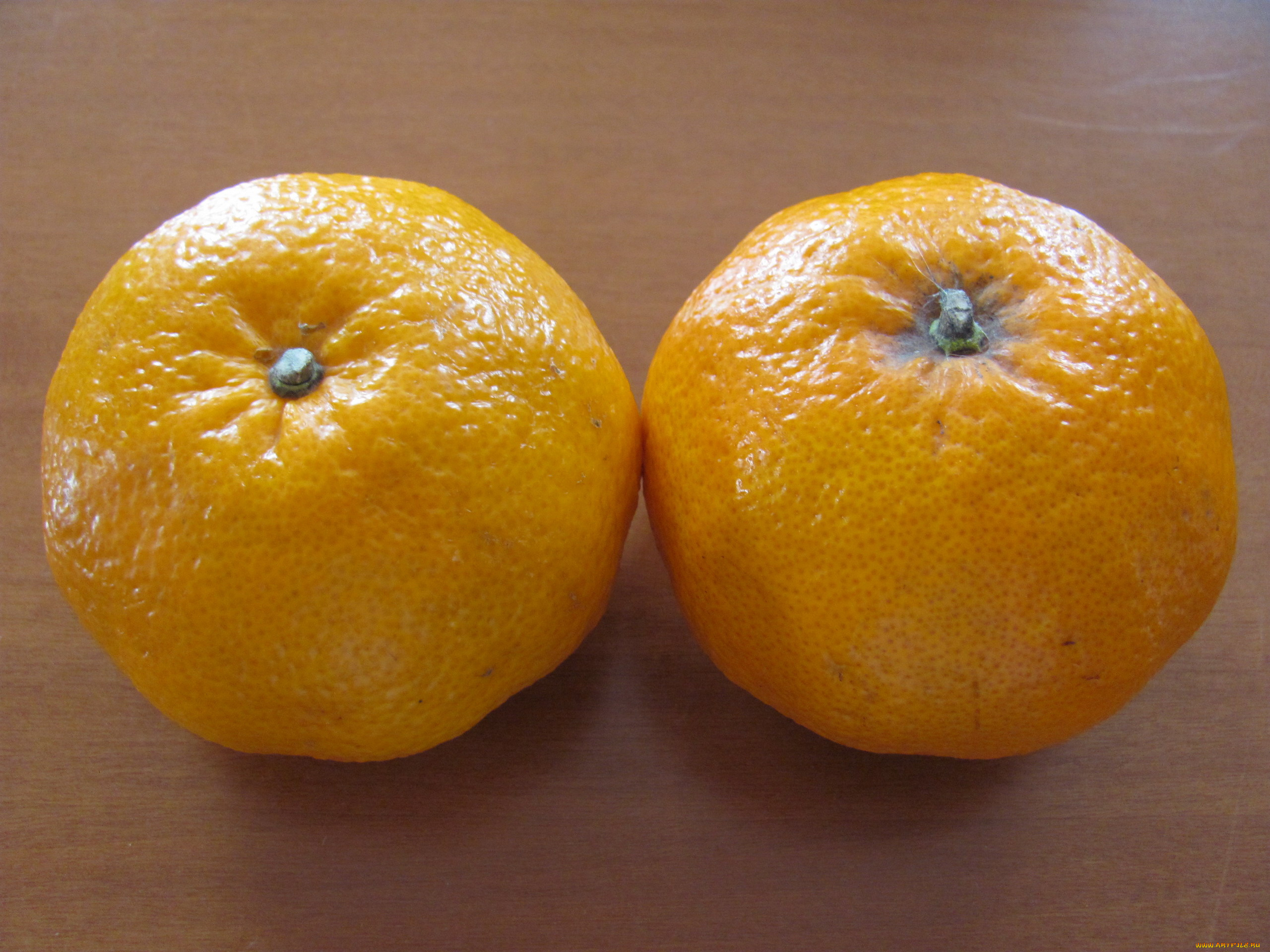 еда, цитрусы, апельсины