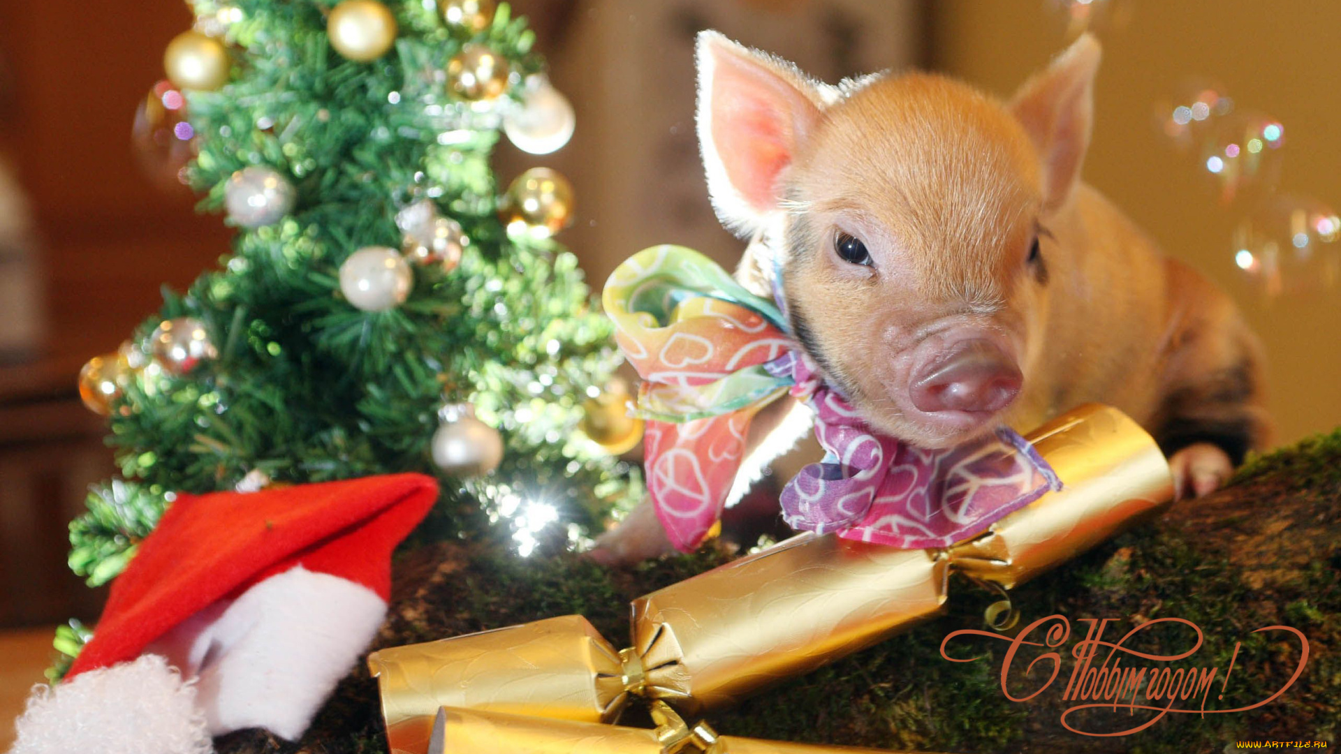календари, праздники, , салюты, игрушка, елка, шапка, поросенок
