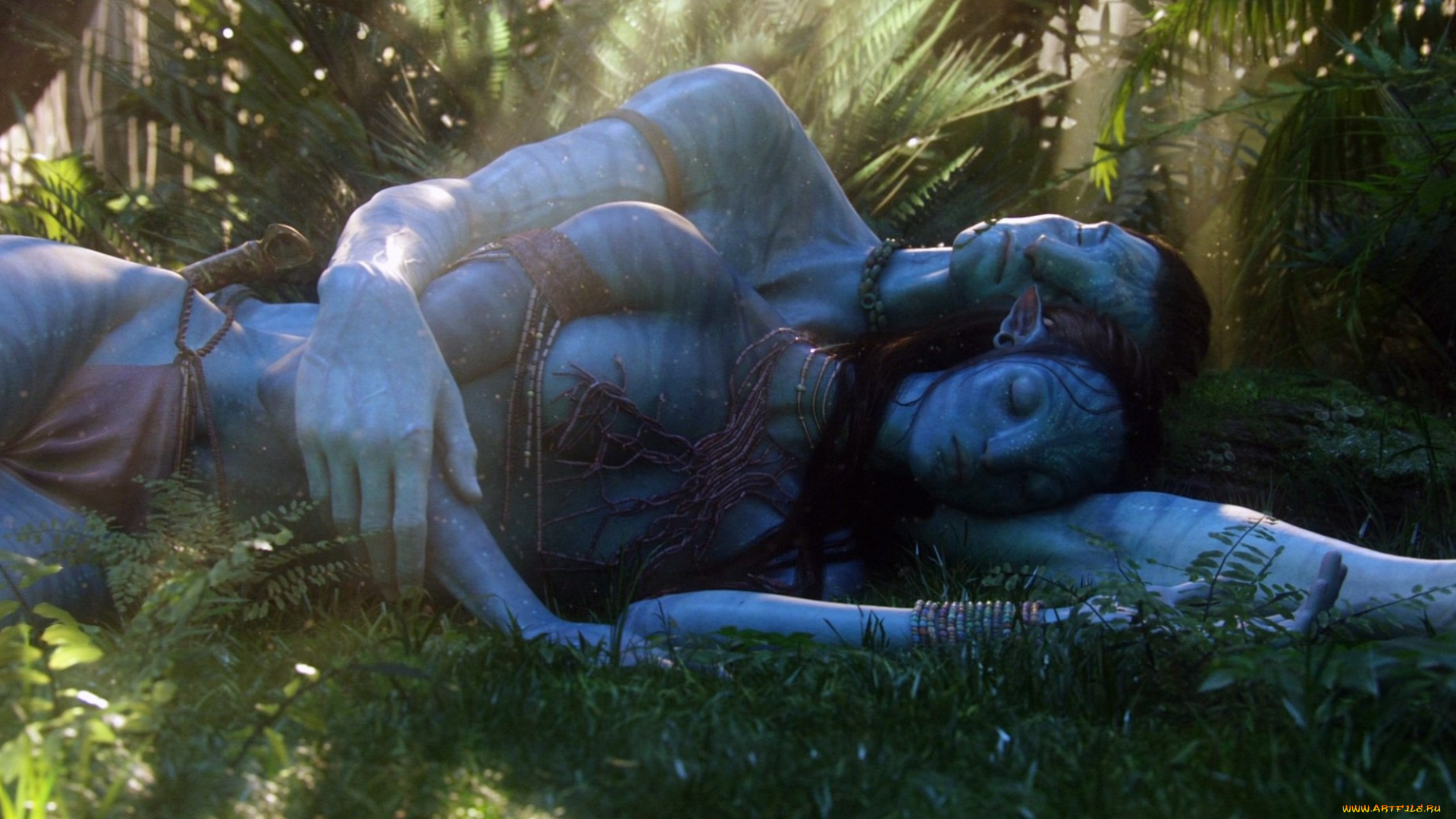 кино, фильмы, avatar, 2, пара, джунгли, аватар, сон, наави